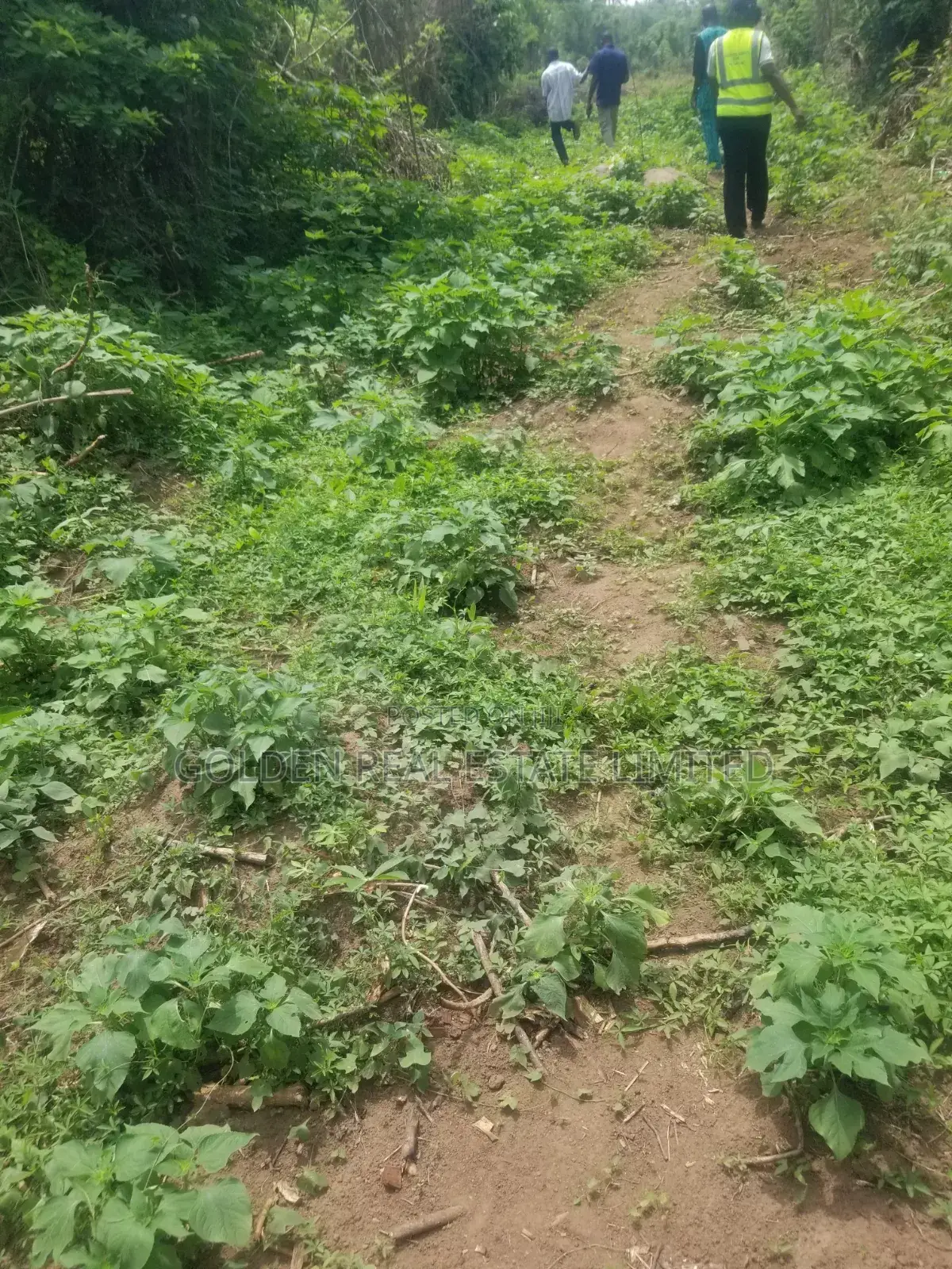 Two Plots of Land in Uso Area, Afao Road. Ado Ekiti for Sales in Ado Ekiti