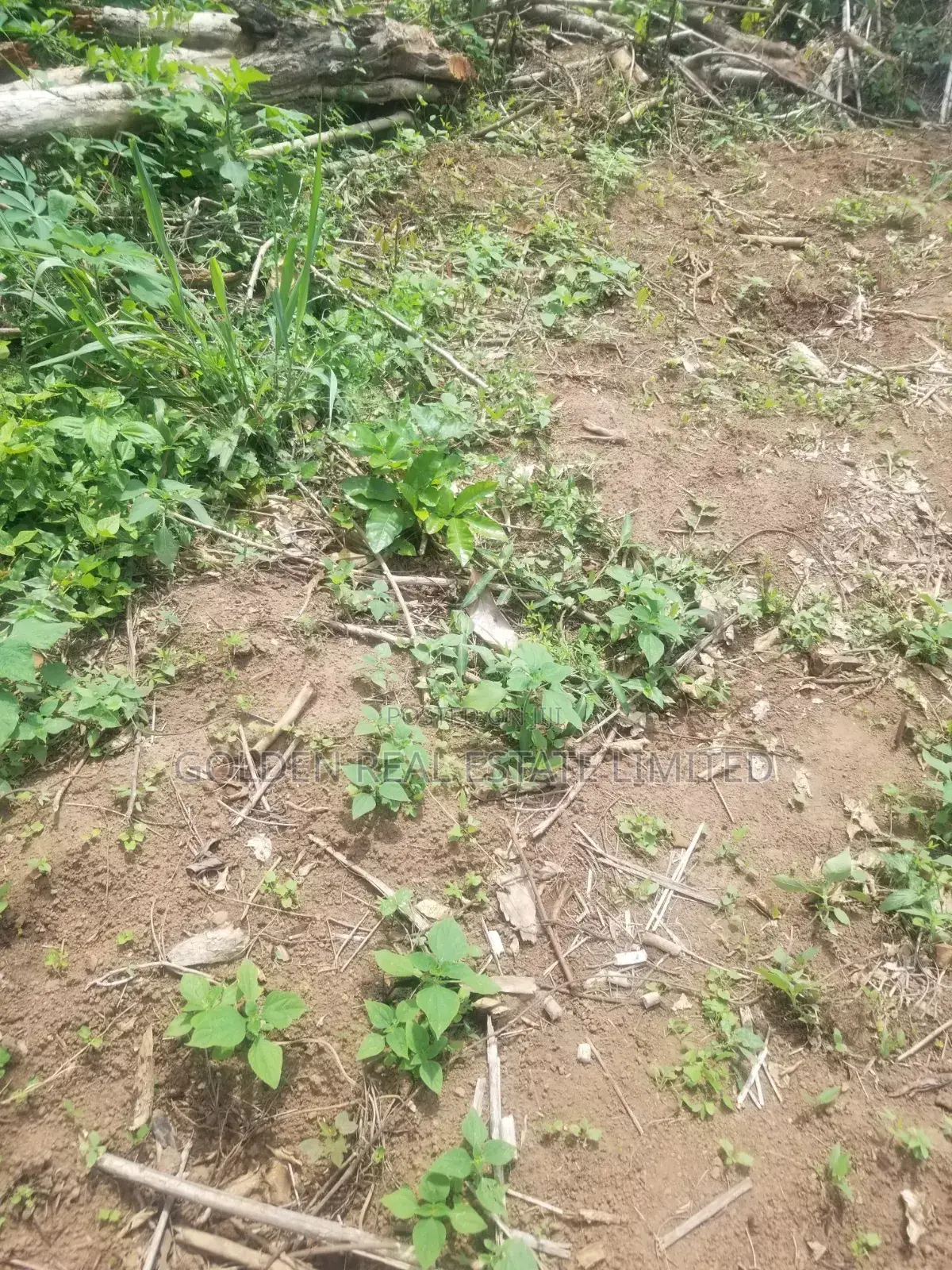 A Plot of Land Beside Anglican High School,At Ado Ekiti for Sale in Ado Ekiti