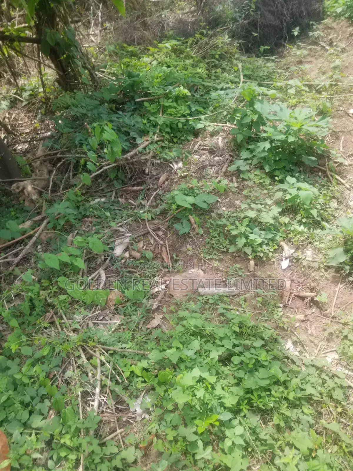 A Plot of Land Beside Anglican High School,At Ado Ekiti for Sale in Ado Ekiti