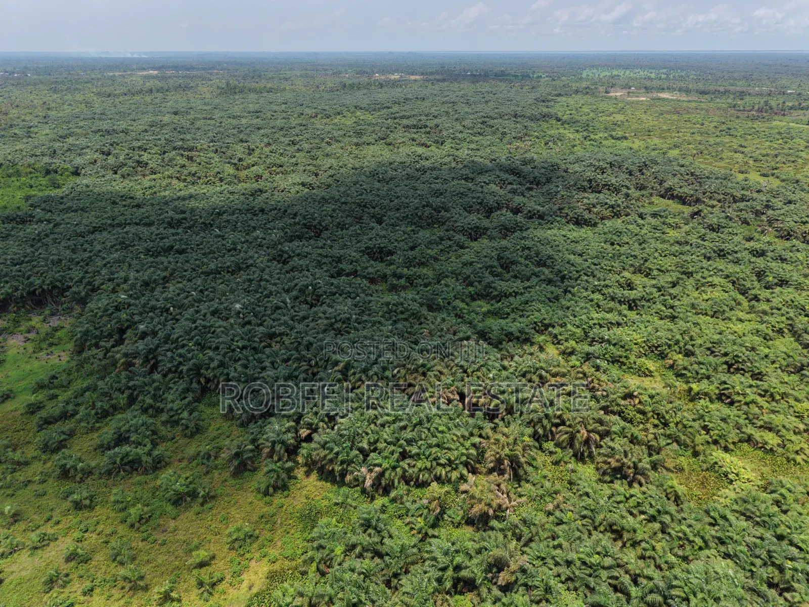 Smart Investors Are Buying in Epe – Don’T Miss This Land Deal in Epe