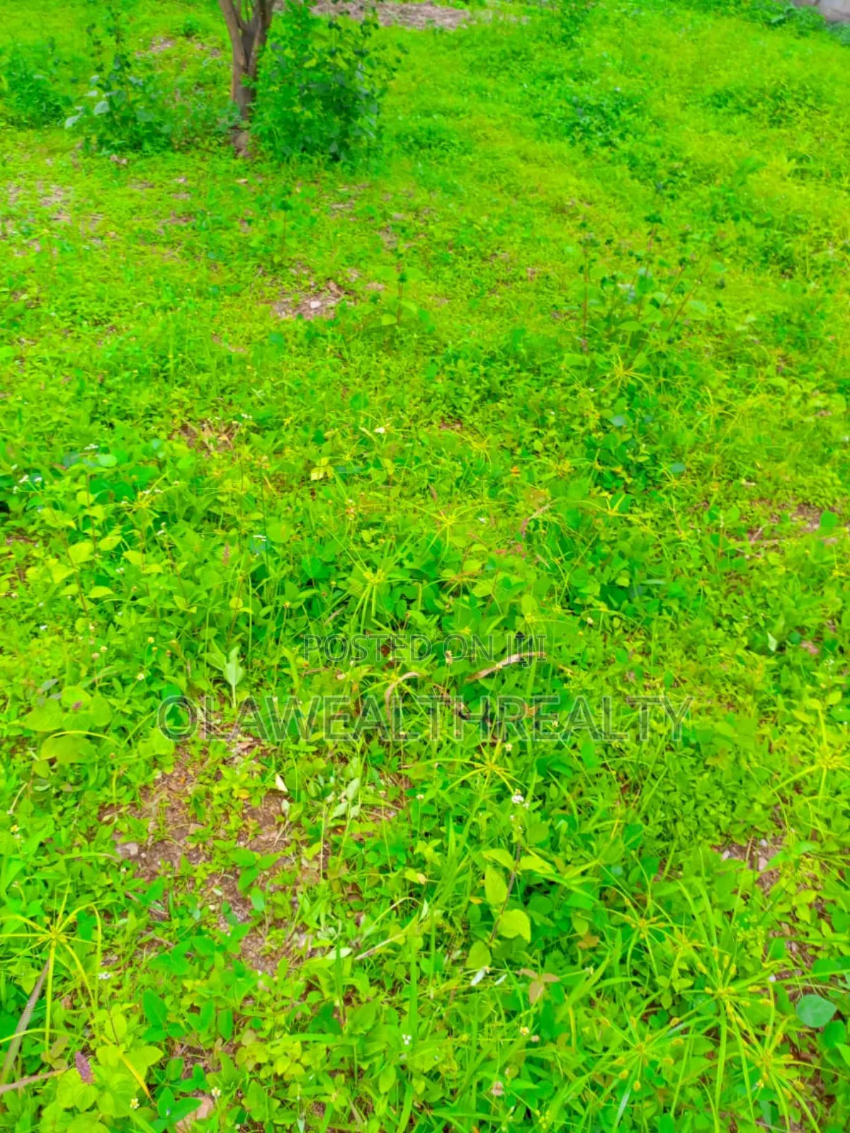 2,400sqm Commercial Land at Asokoro in Asokoro