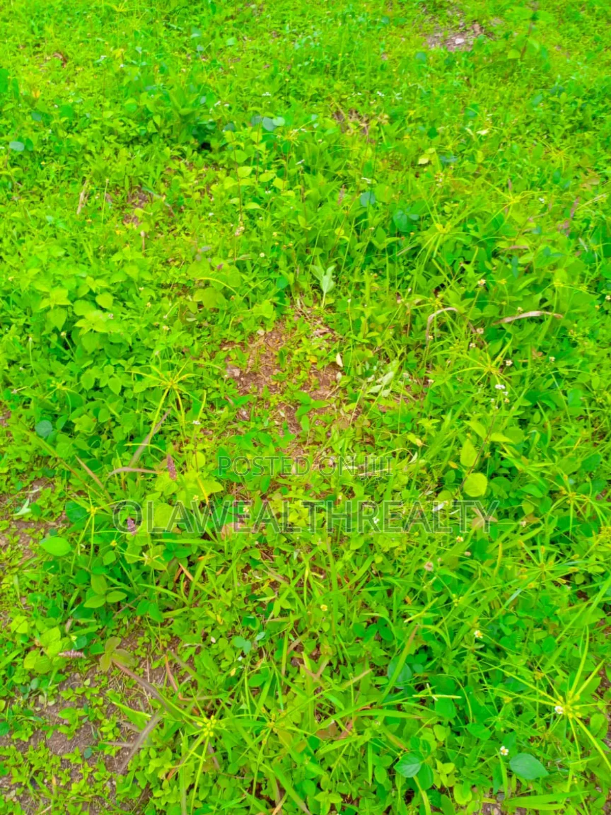 2,400sqm Commercial Land at Asokoro in Asokoro