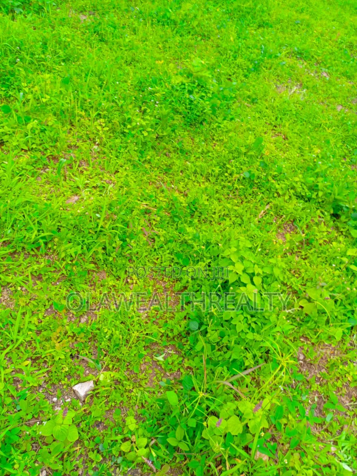 1.77hectare Residential Land at Guzape Main in Guzape District