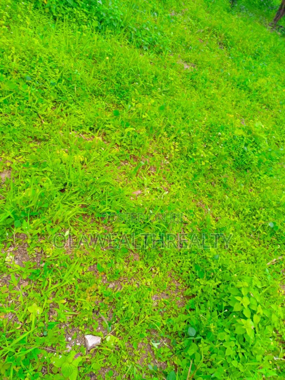 1.77hectare Residential Land at Guzape Main in Guzape District