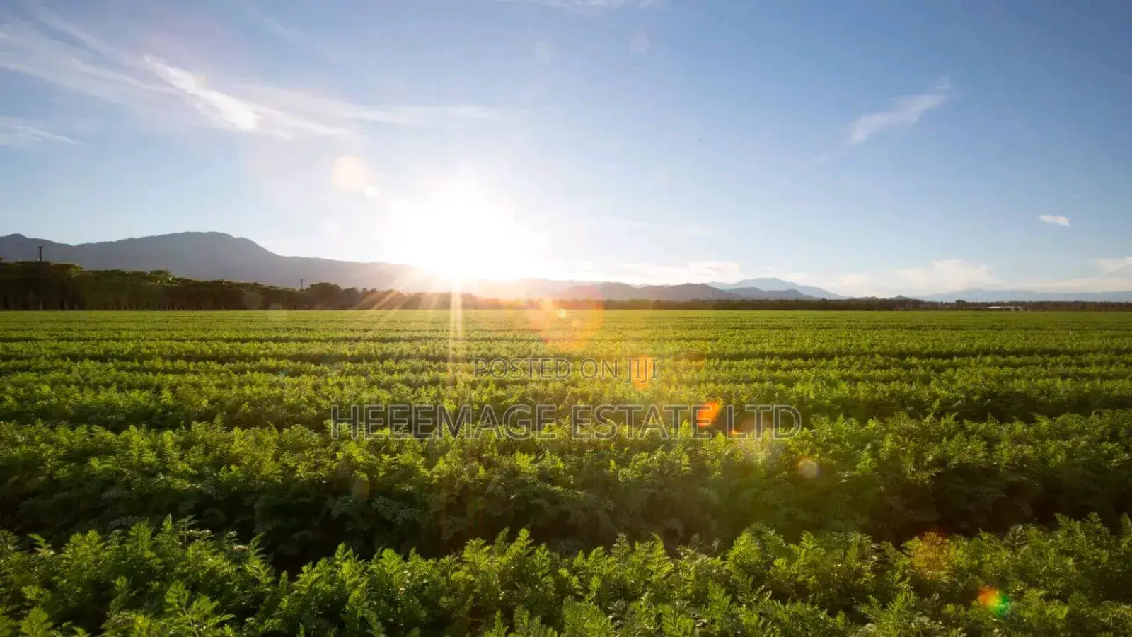 1.5hectares Dobi Farmland in Kutunku