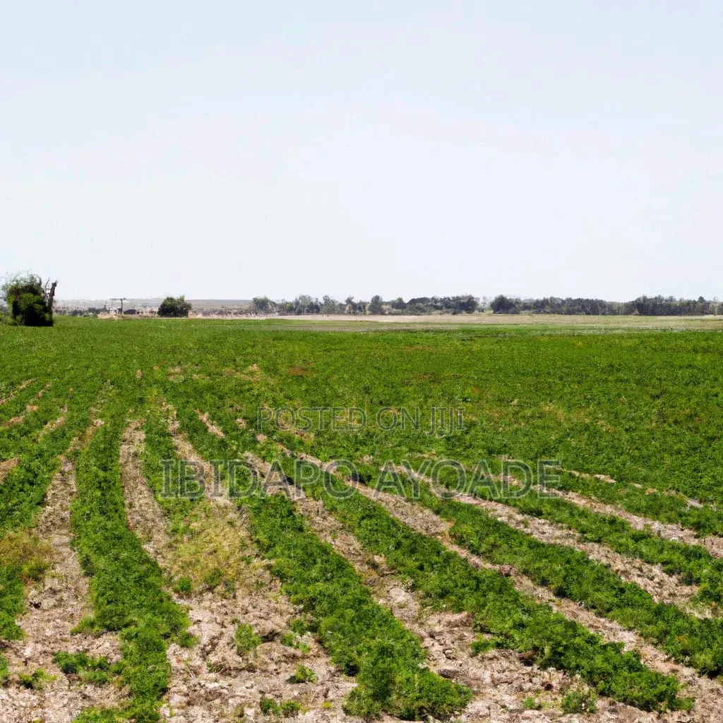 1.5hectares Dobi Farmland in Kutunku
