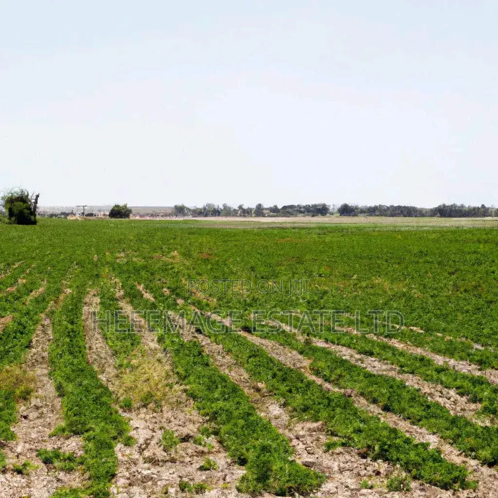 1.5hectares Dobi Farmland in Kutunku