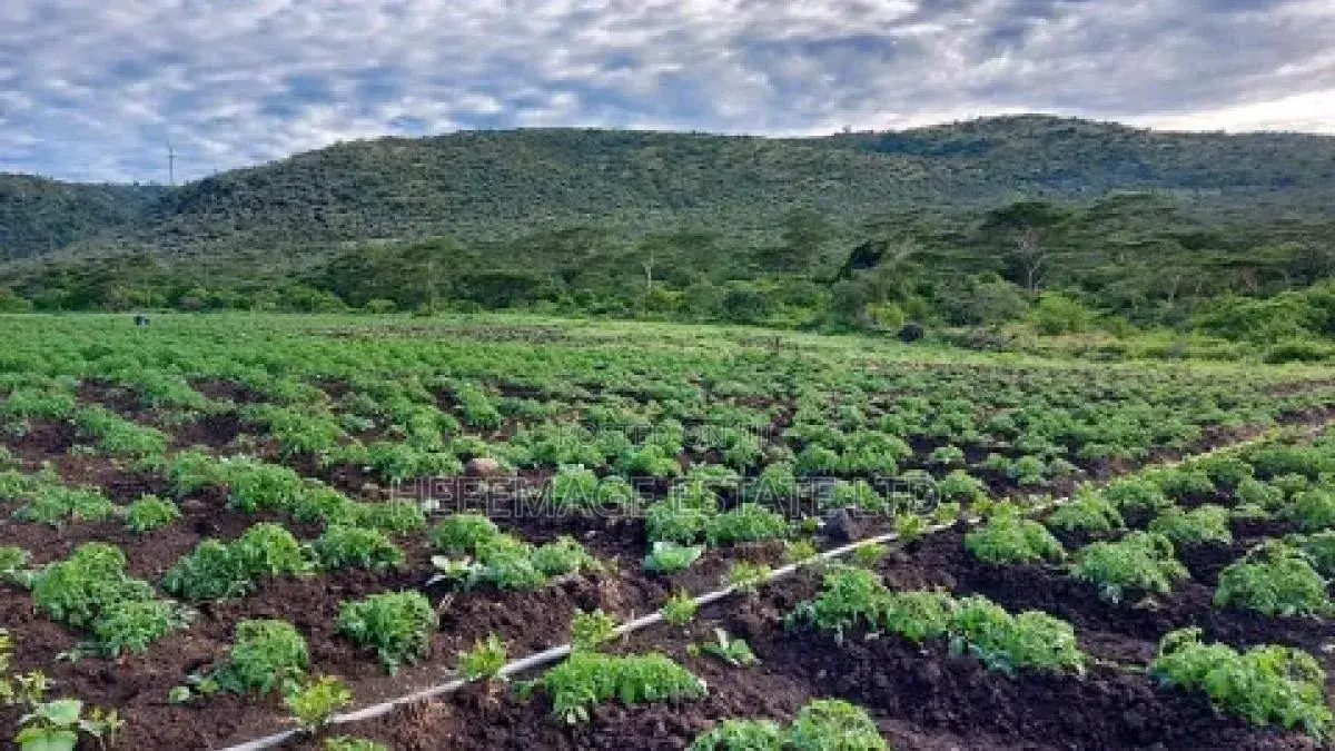 1.5hectares Dobi Farmland in Kutunku