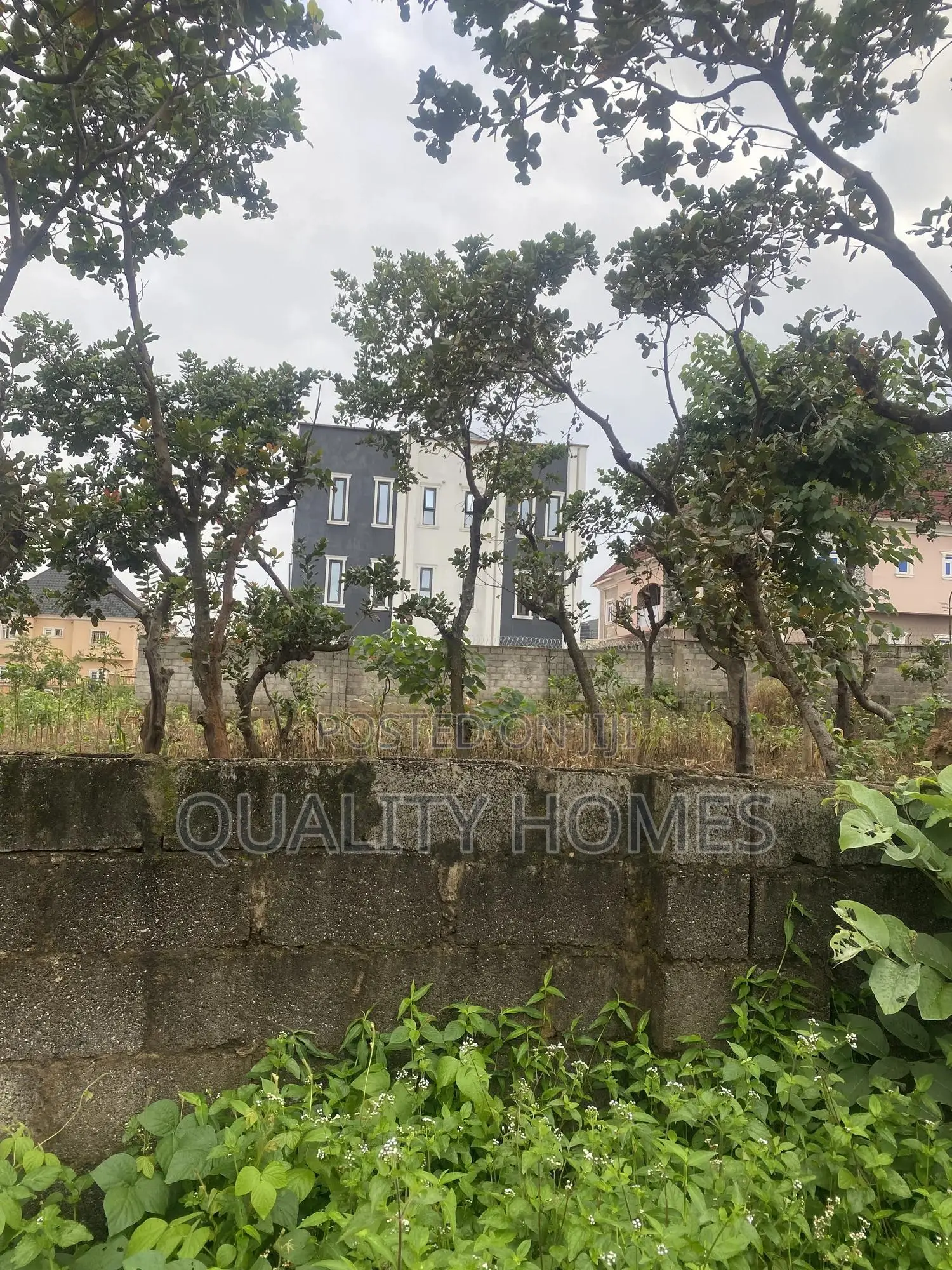 Certificate Of Occupancy in Apo Resettlement