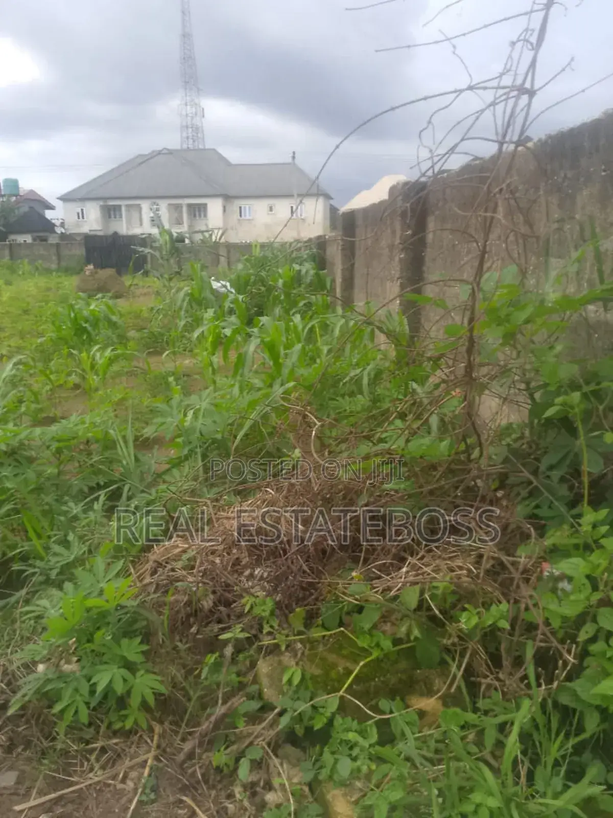 Landed Properties in Uyo