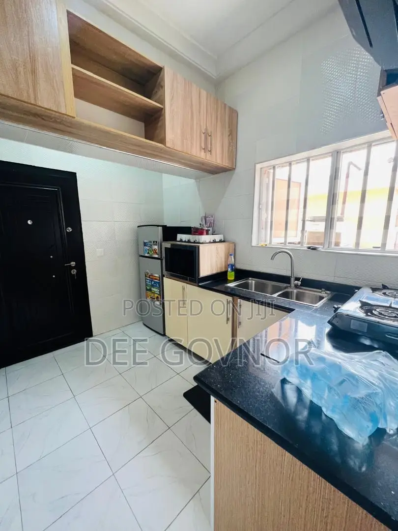 Furnished 2bdrm Apartment in Ikate Freedomway, Lekki Phase 2 for rent in Lekki Phase 2