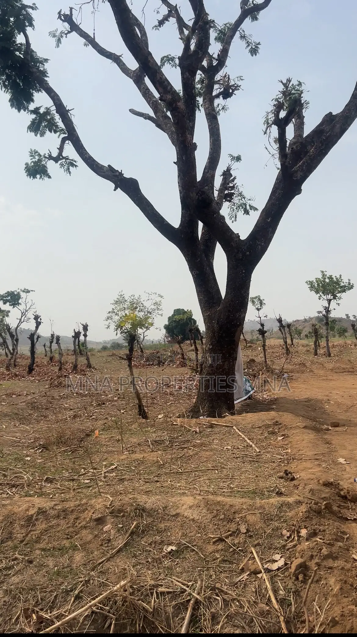 Solar City Apo Burum in Apo District