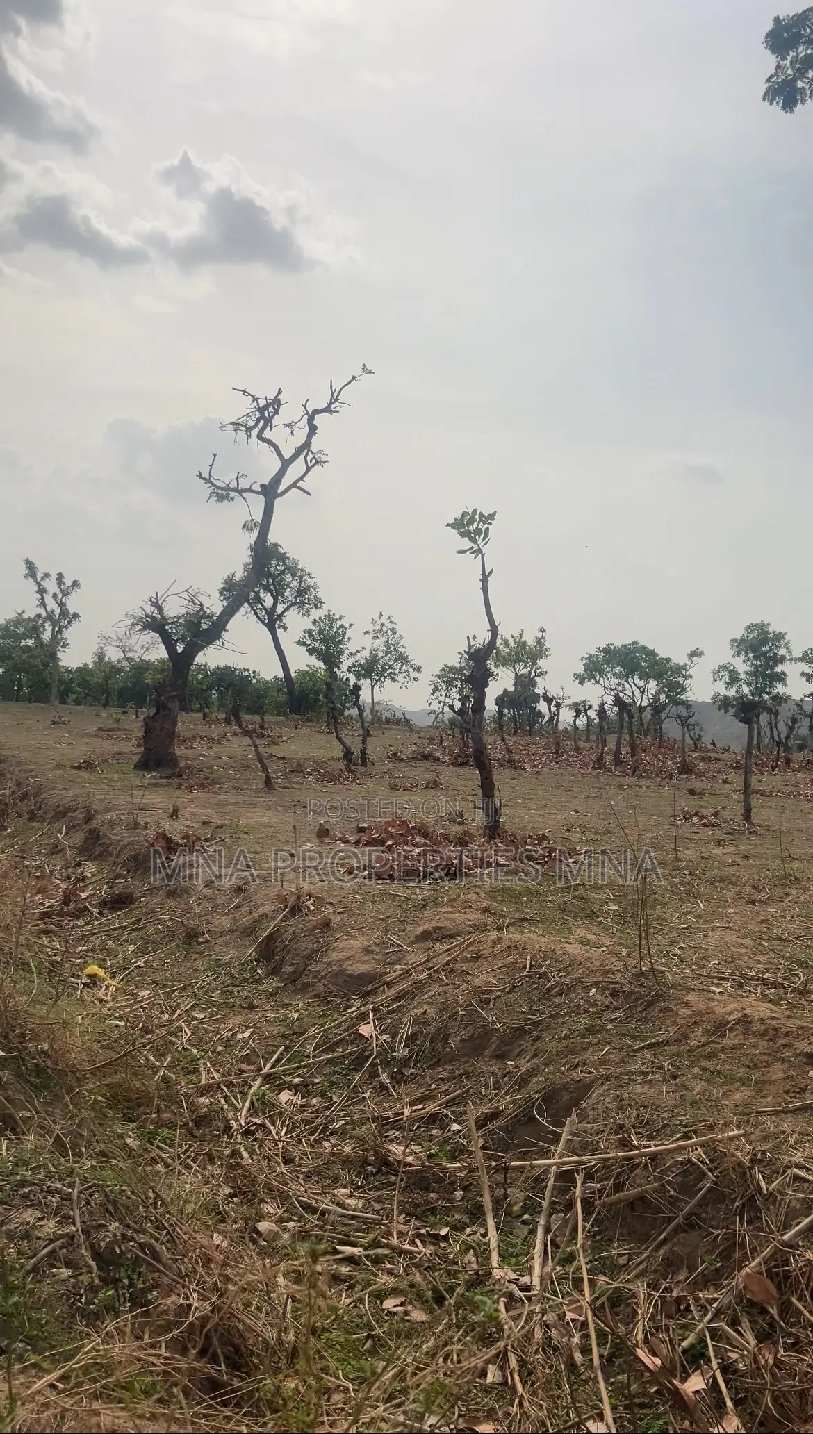 Solar City Apo Burum in Apo District