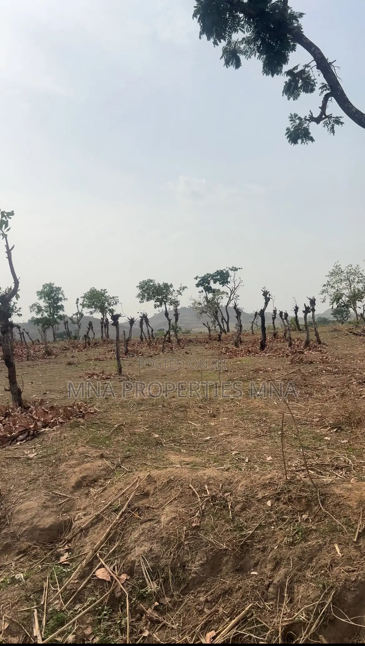 Solar City Apo Burum in Apo District