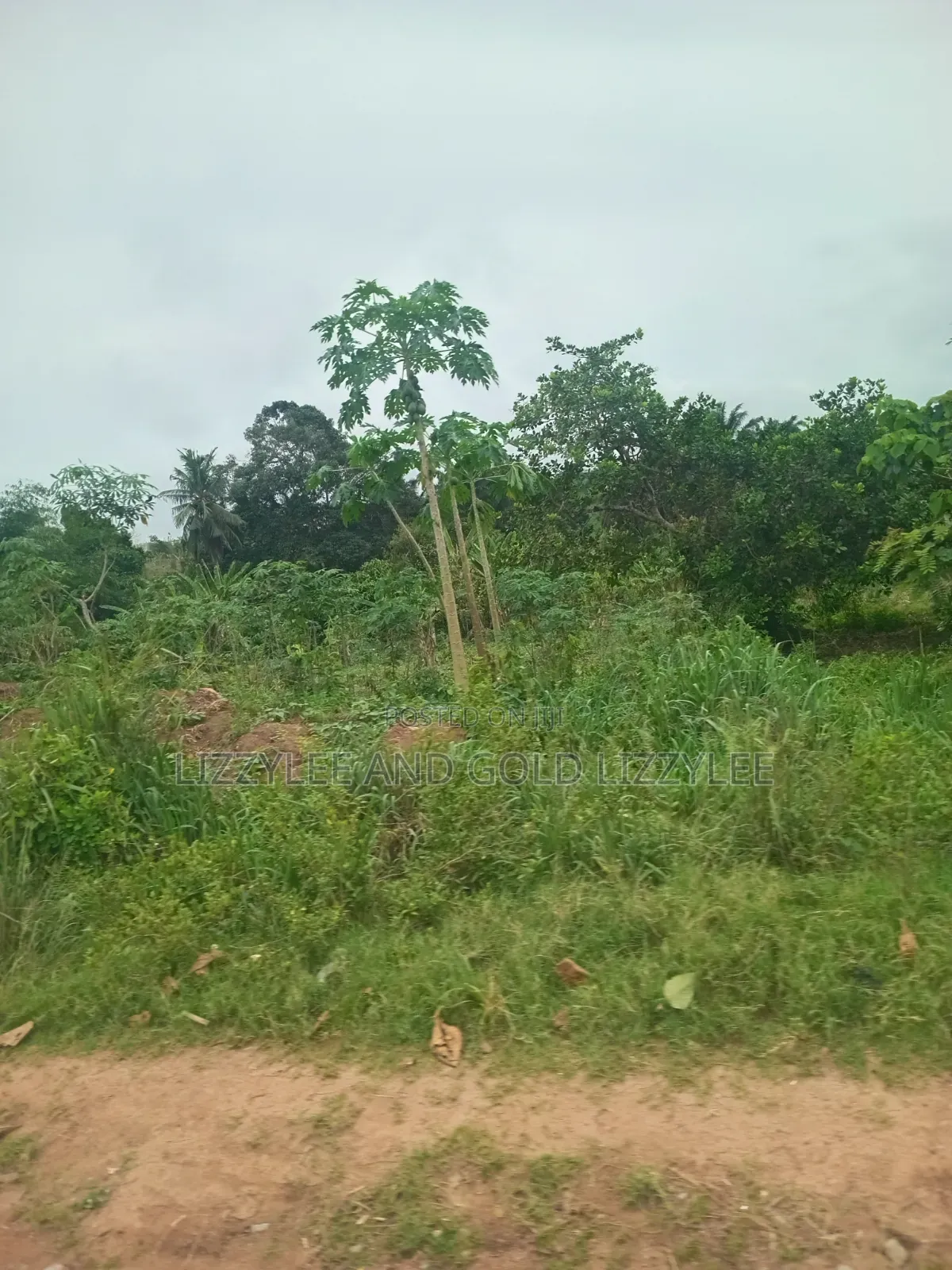 500 Acres of Farmland at Ilaro Available for Sale in Ilaro