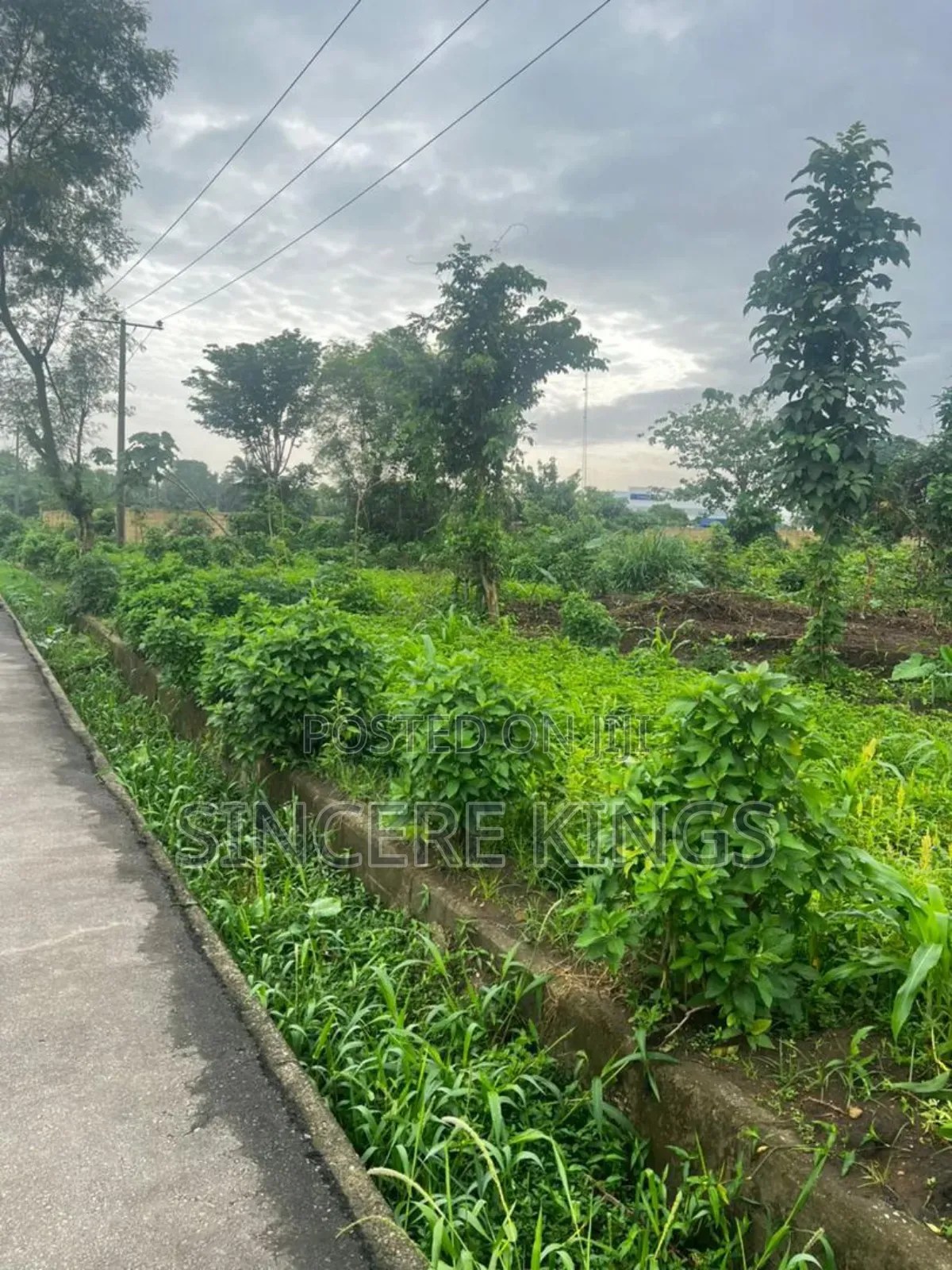 Land for Banking and Offices for Sale in Uyo