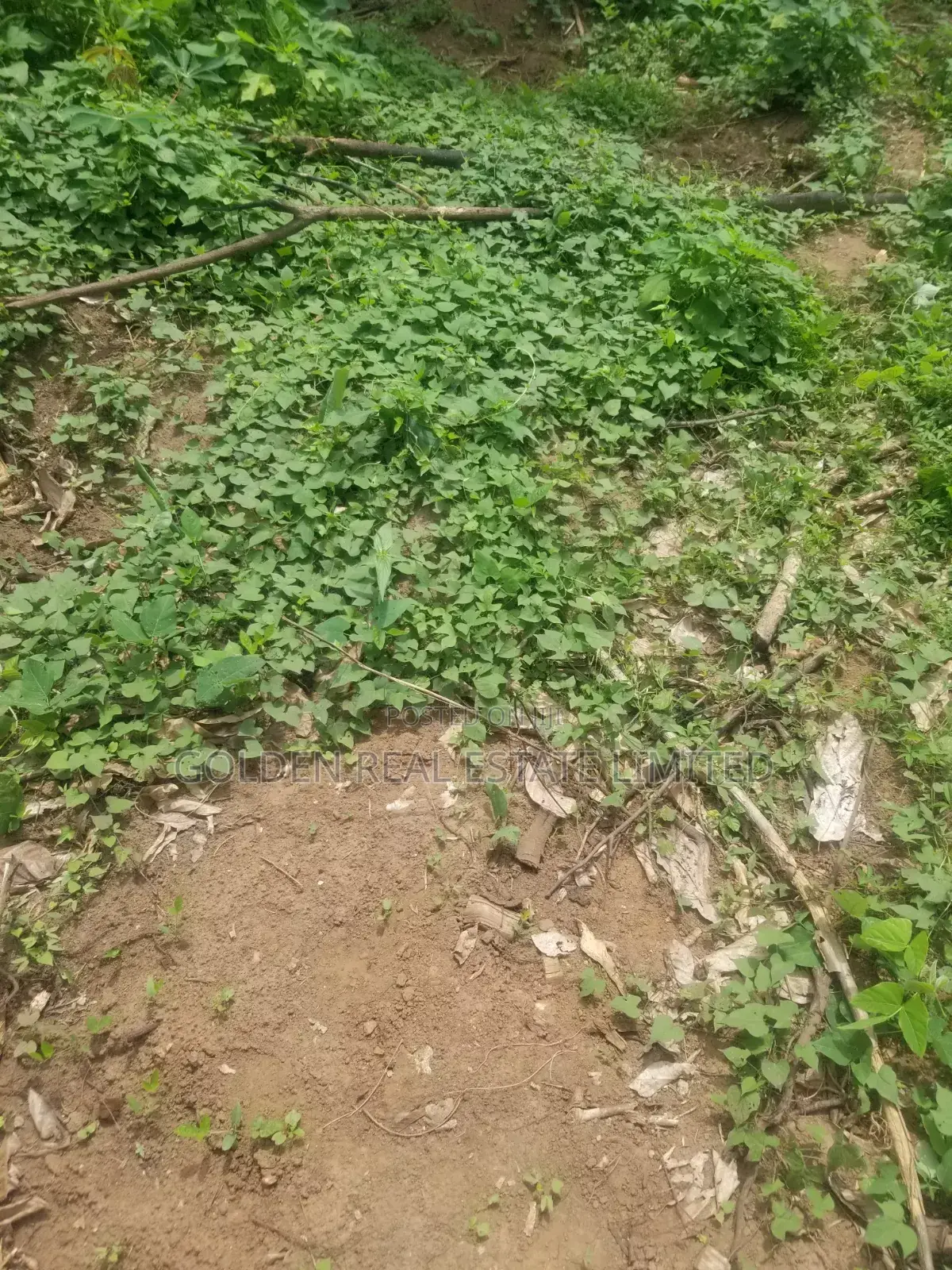 4 Plots Of Land For Sale At Doctor's Quarter, Similoluwa Ado-ekiti- in Ado Ekiti