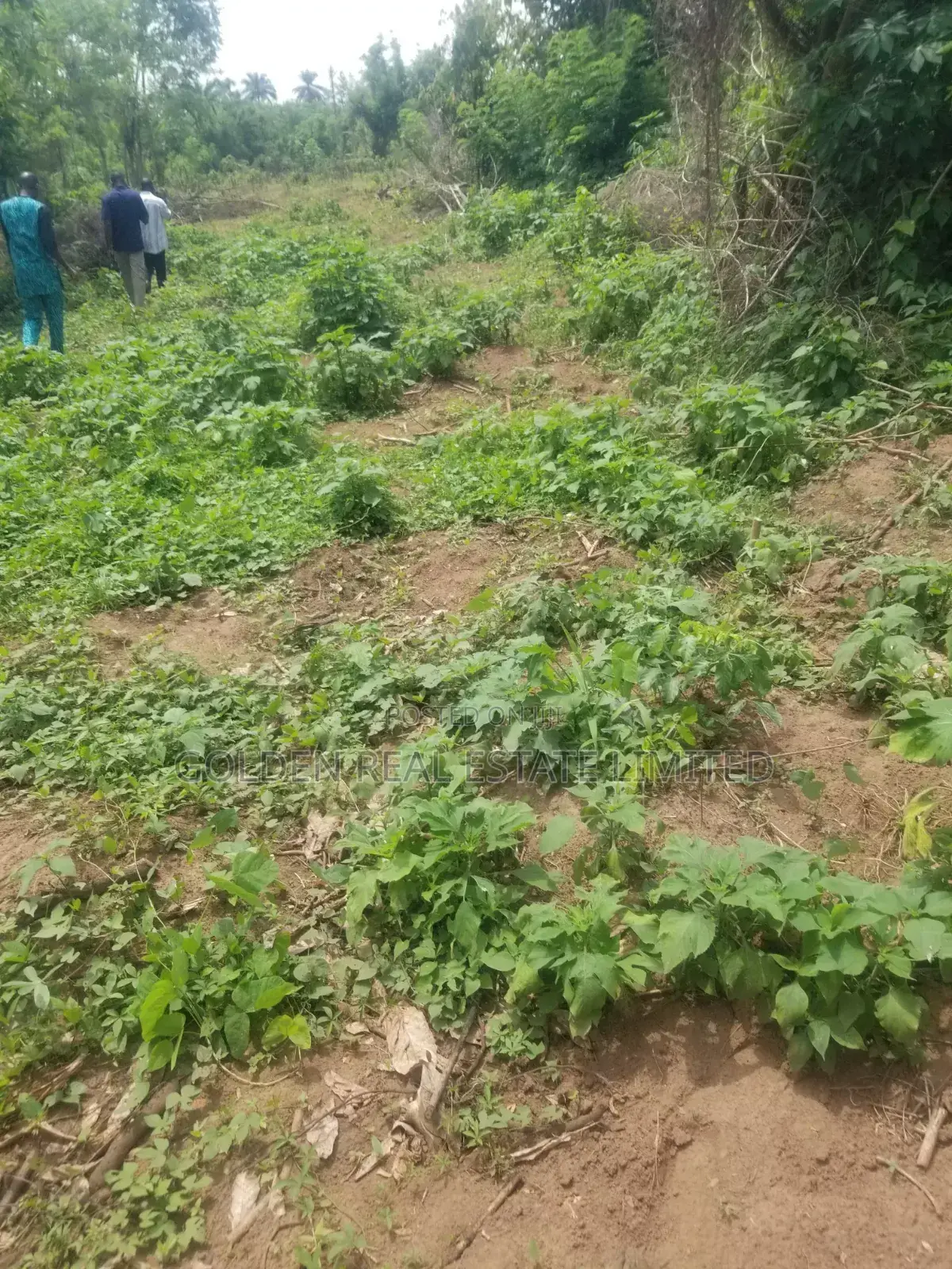 4 Plots Of Land For Sale At Doctor's Quarter, Similoluwa Ado-ekiti- in Ado Ekiti