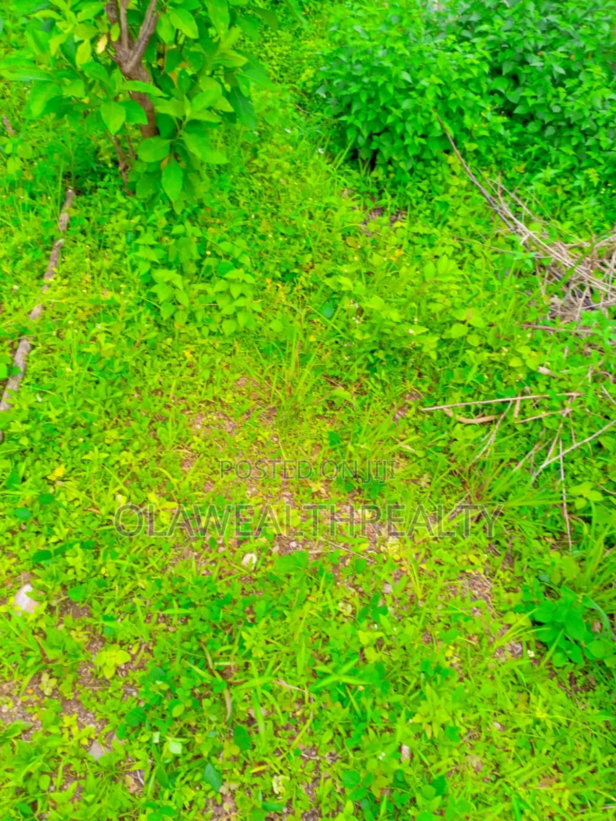 874sqm Residential Plot at New Asokoro in Asokoro