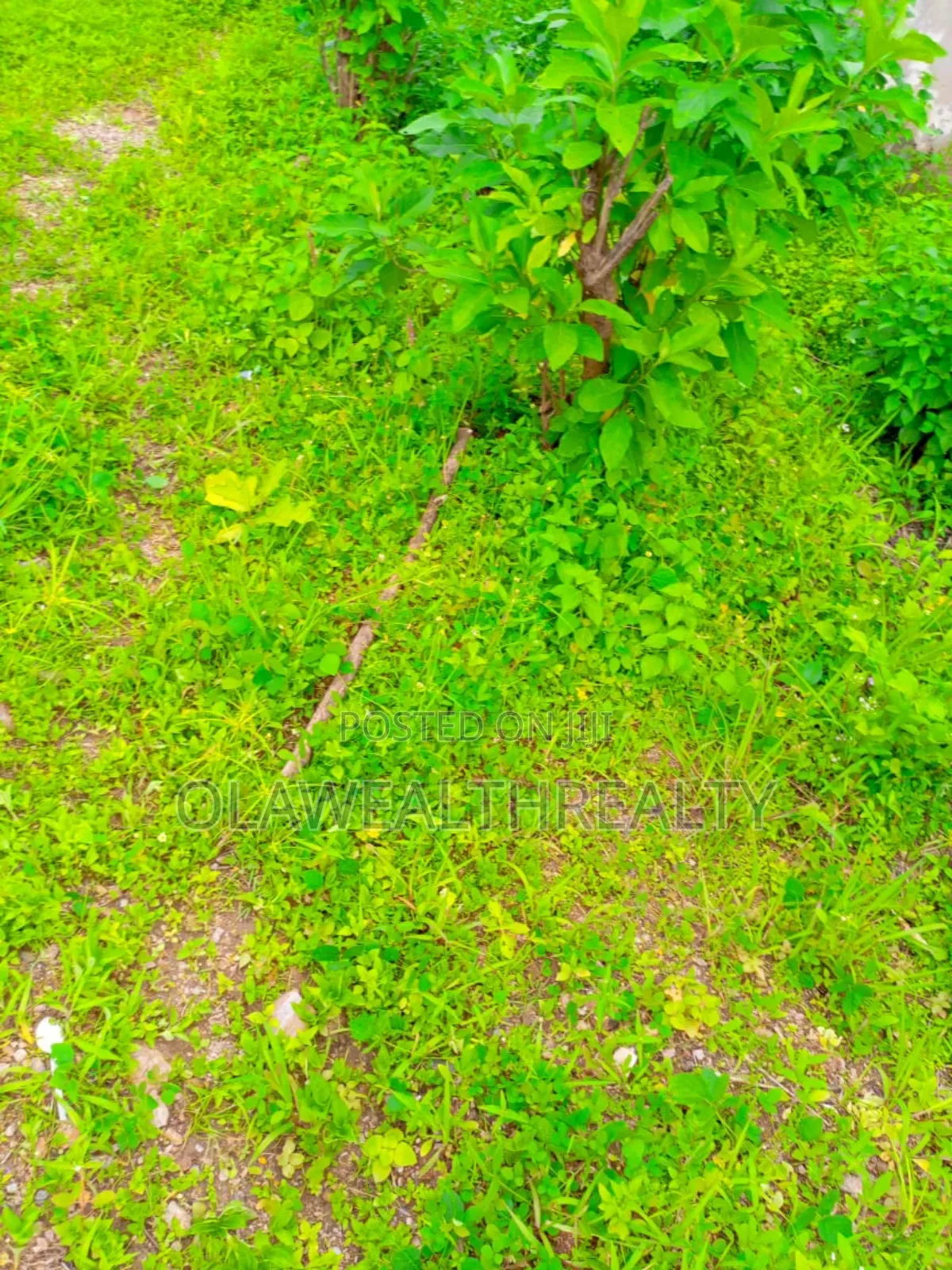 874sqm Residential Plot at New Asokoro in Asokoro