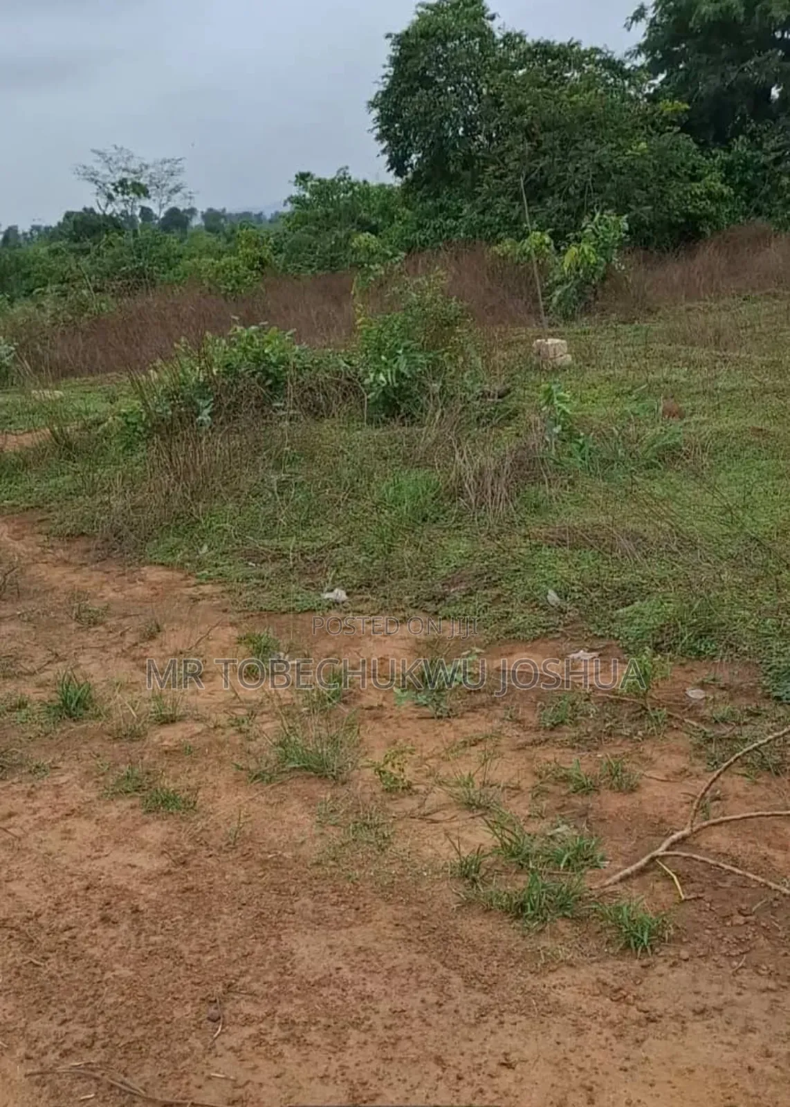 Acres of Lands for Sale in Bulk and in Plots in Anambra West