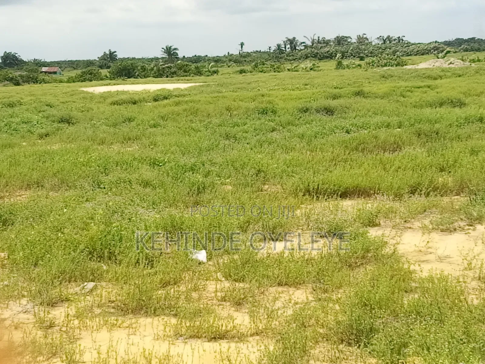 Land for Sale at Lekki Epe Express Way in Off Lekki-Epe Expressway