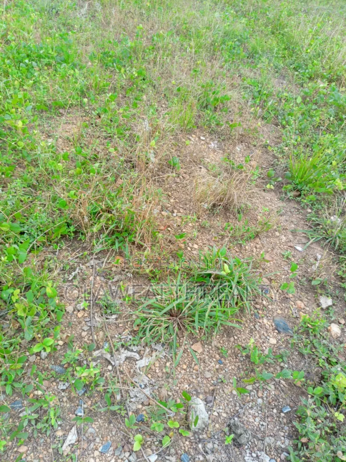 100 Hectares Mixed-Use Land at Apo Wasa in Wasa