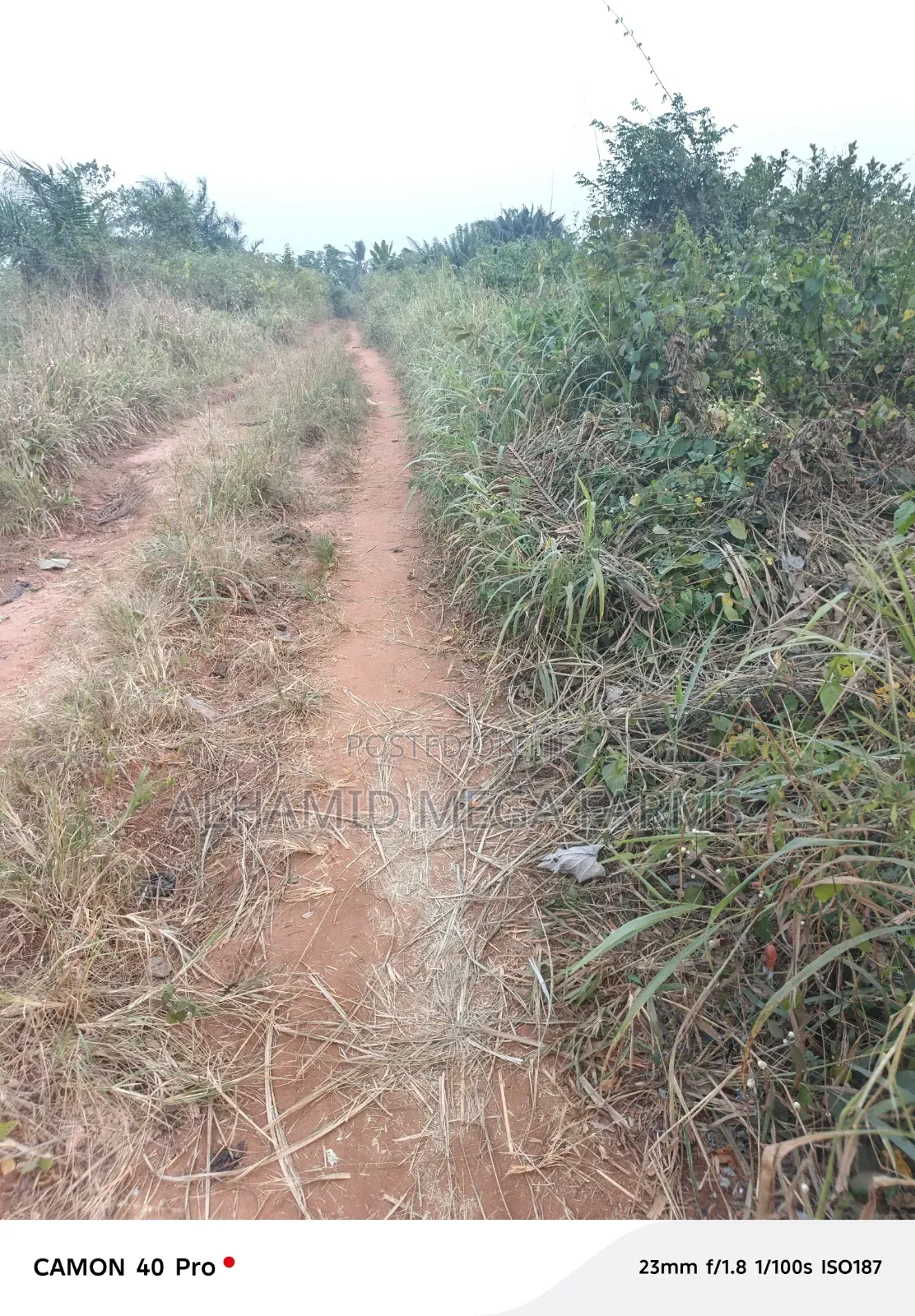 Buy 600 Acres Of Farm Landed Property At 700,000 Per Acre in Abeokuta North
