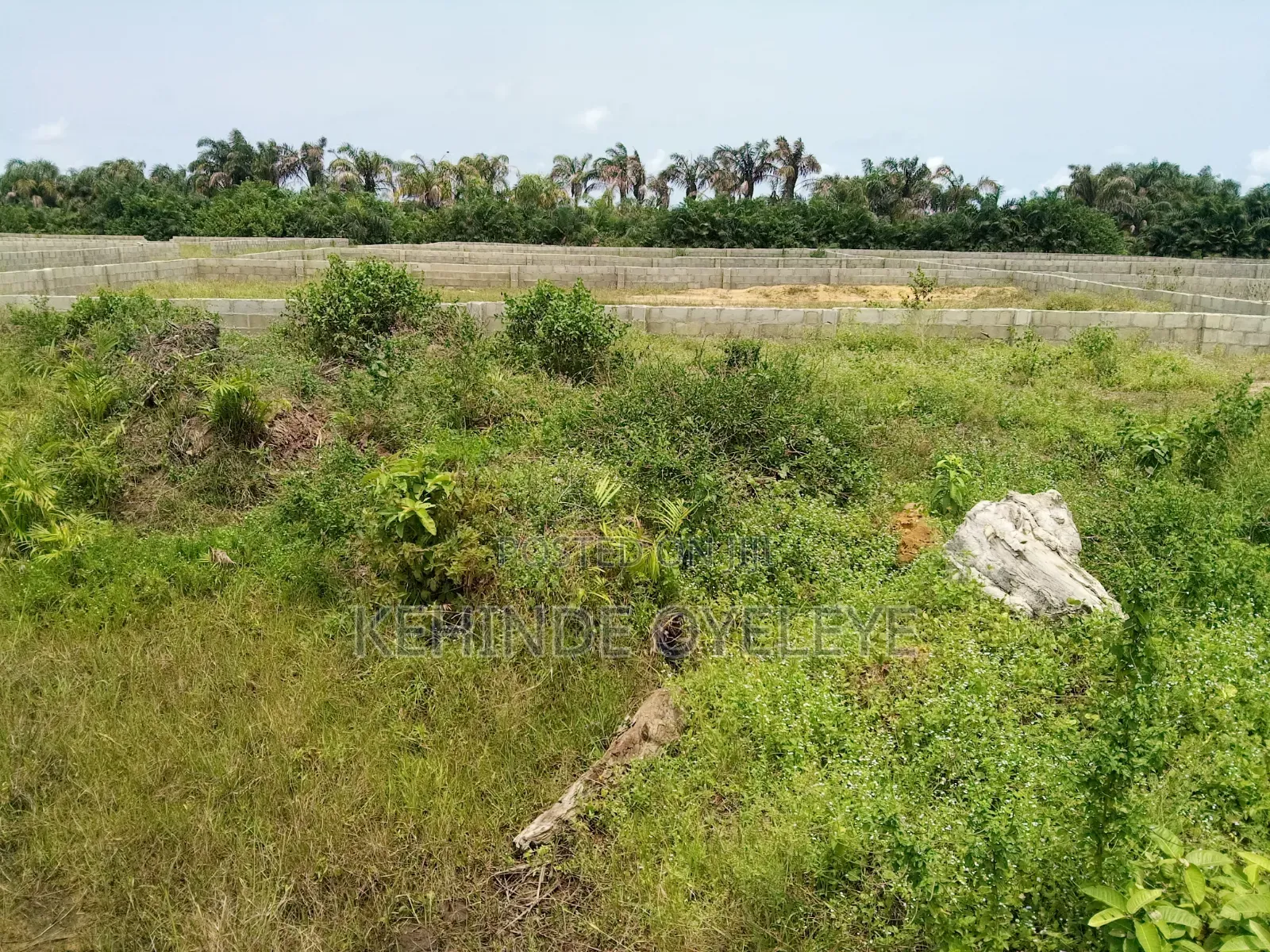 Land For Sale in Off Lekki-Epe Expressway