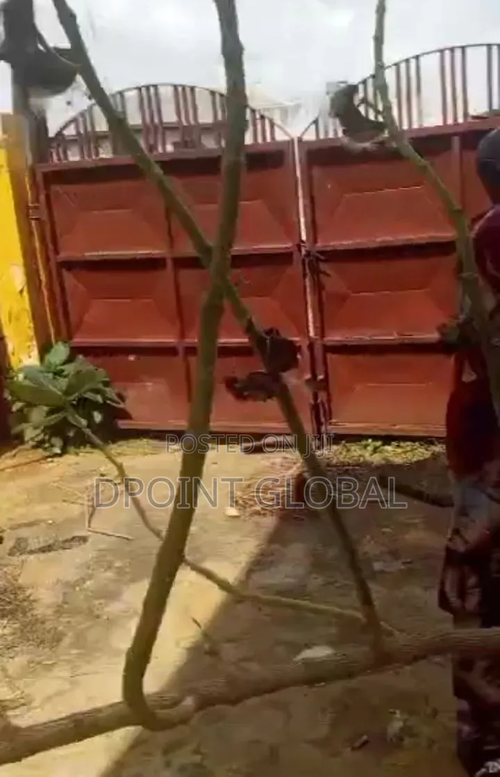 12bdrm Block of Flats in In Estate, Abule Egba for sale in Abule Egba