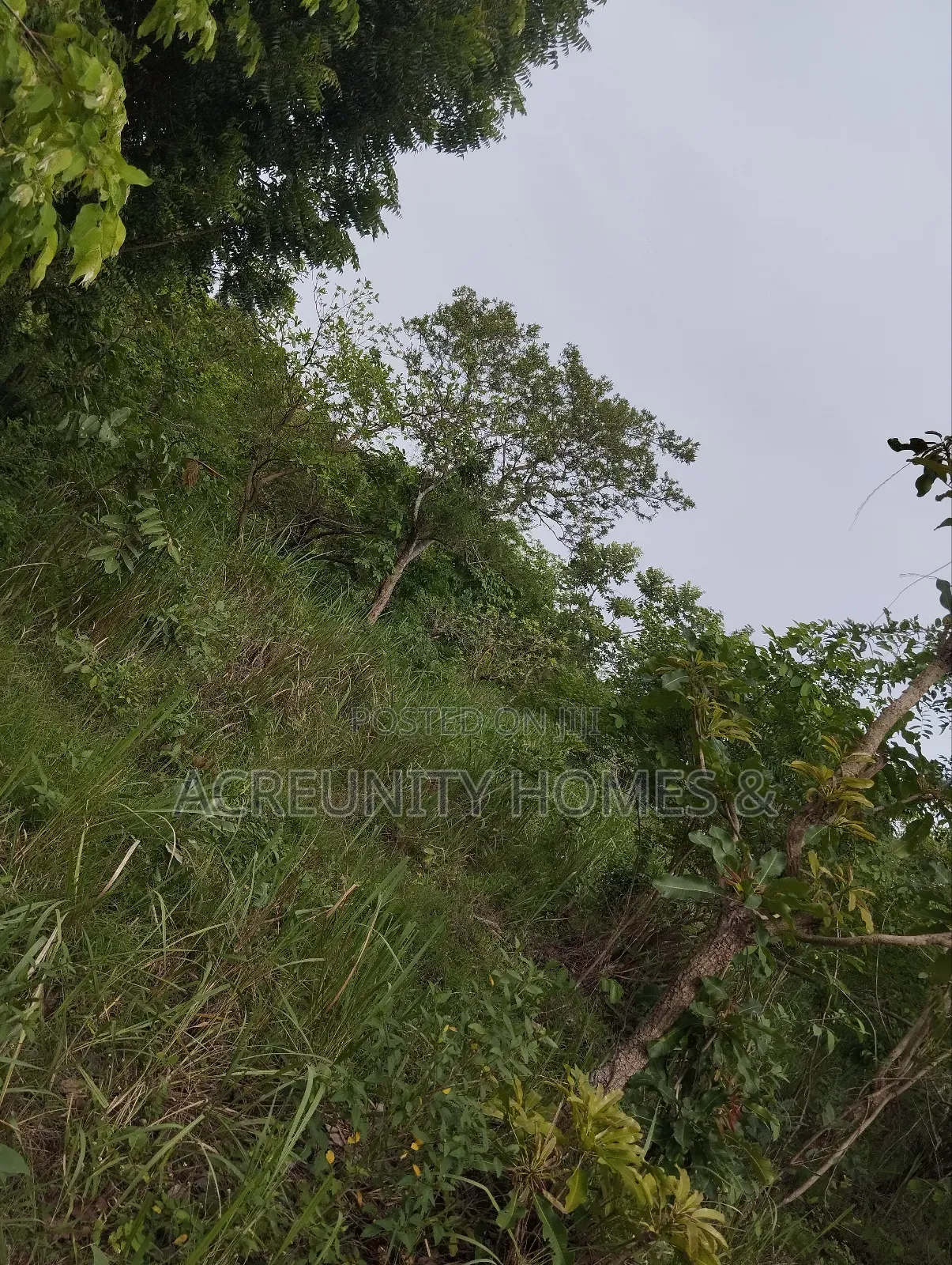 10 Acres of Land Available at Abokede Village, Iseyin, Oyo State in Iseyin