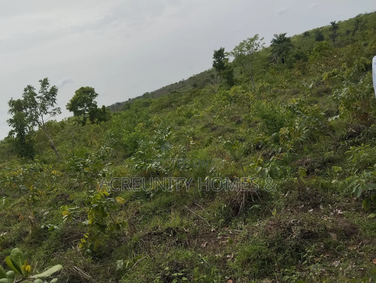 10 Acres of Land Available at Abokede Village, Iseyin, Oyo State in Iseyin