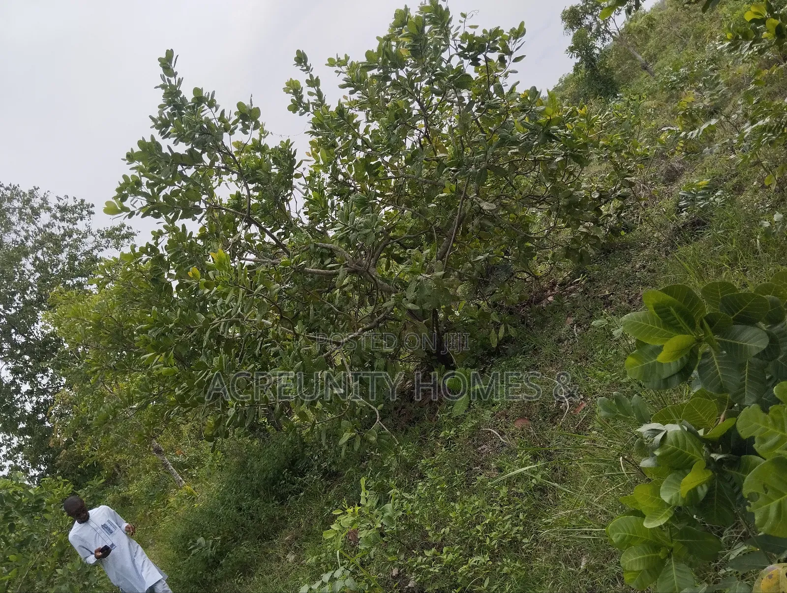 70 Acres of Commercial Land Available at Waasimi, Iseyin, Oyo State in Iseyin