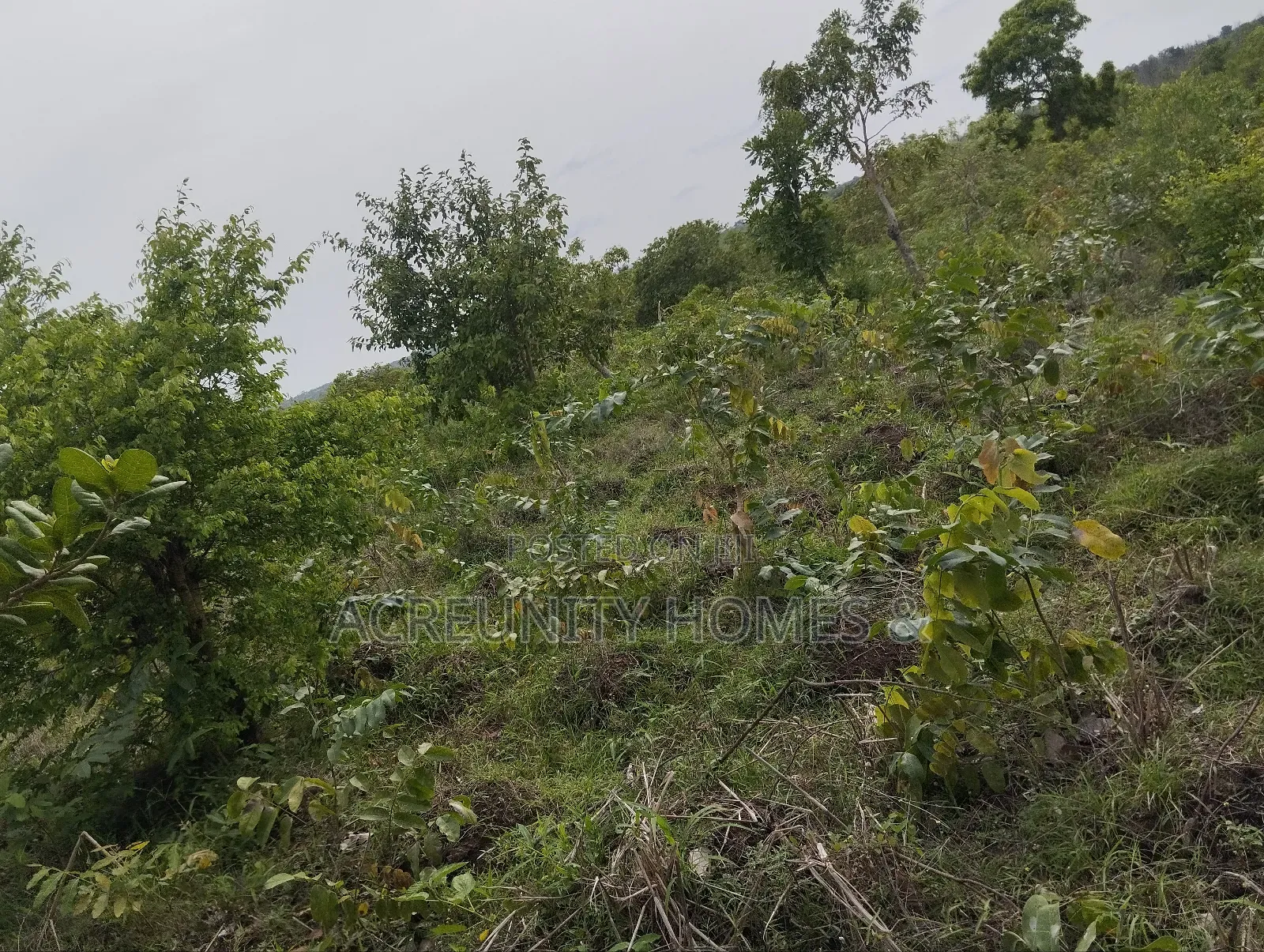 70 Acres of Commercial Land Available at Waasimi, Iseyin, Oyo State in Iseyin