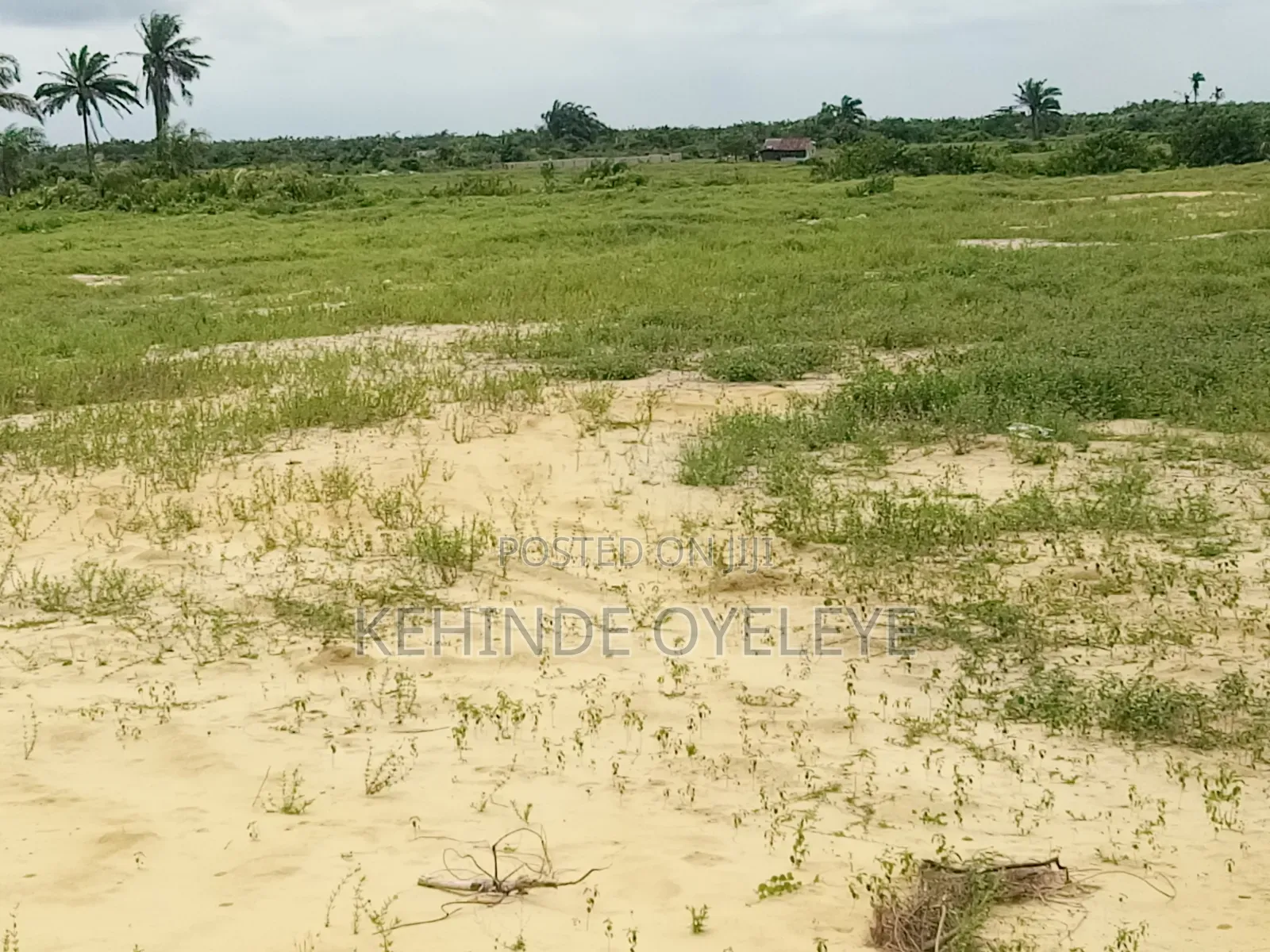 Land for Sale in Off Lekki-Epe Expressway
