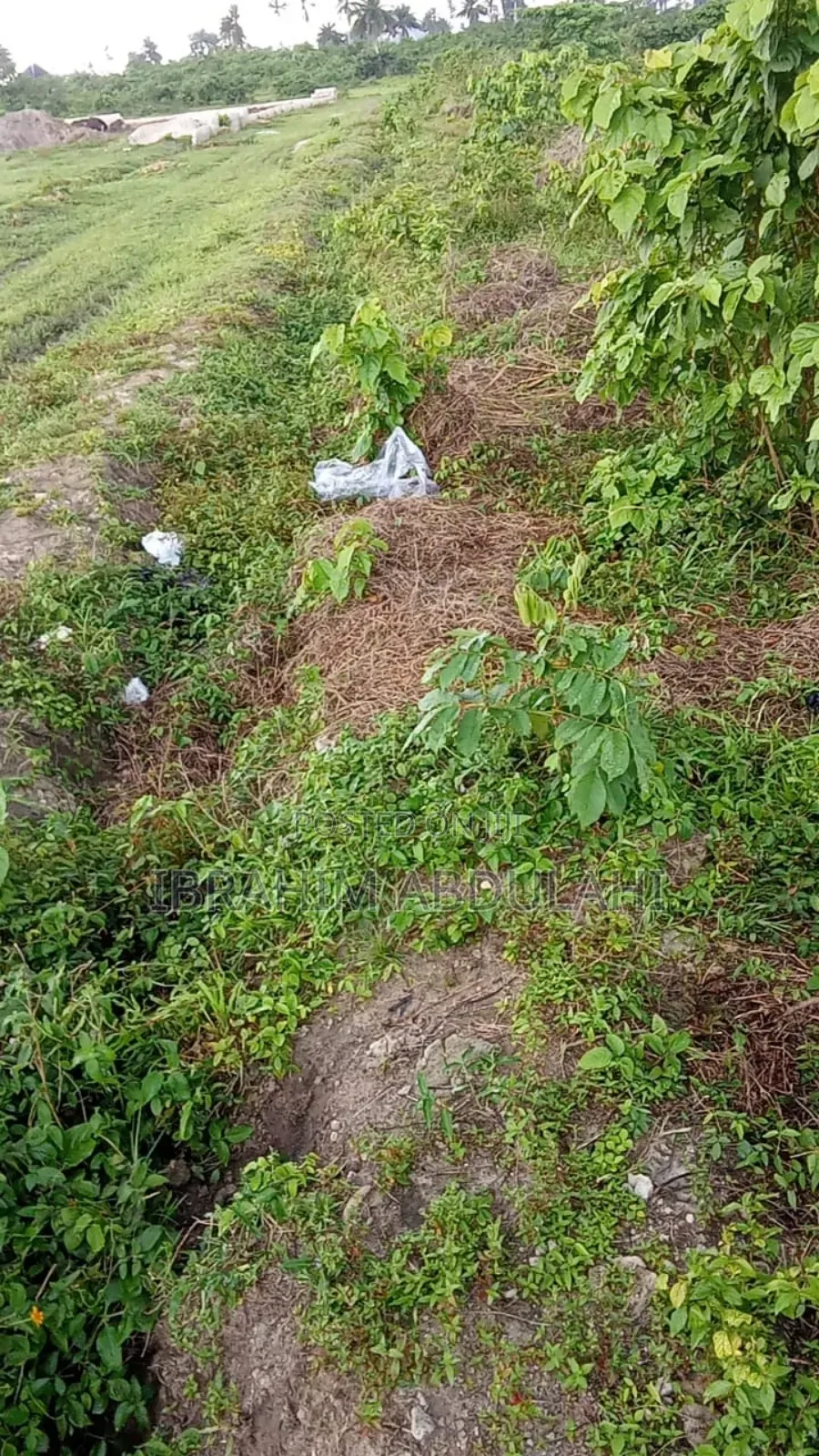 Buy and Build Dry Land in Obio-Akpor