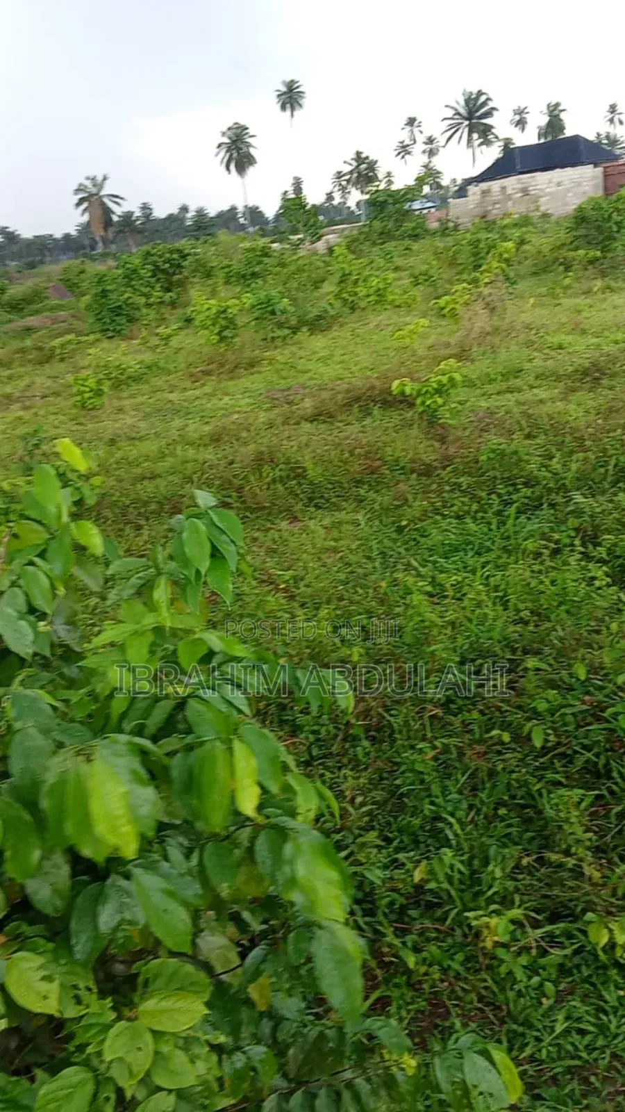 Buy and Build Dry Land in Obio-Akpor