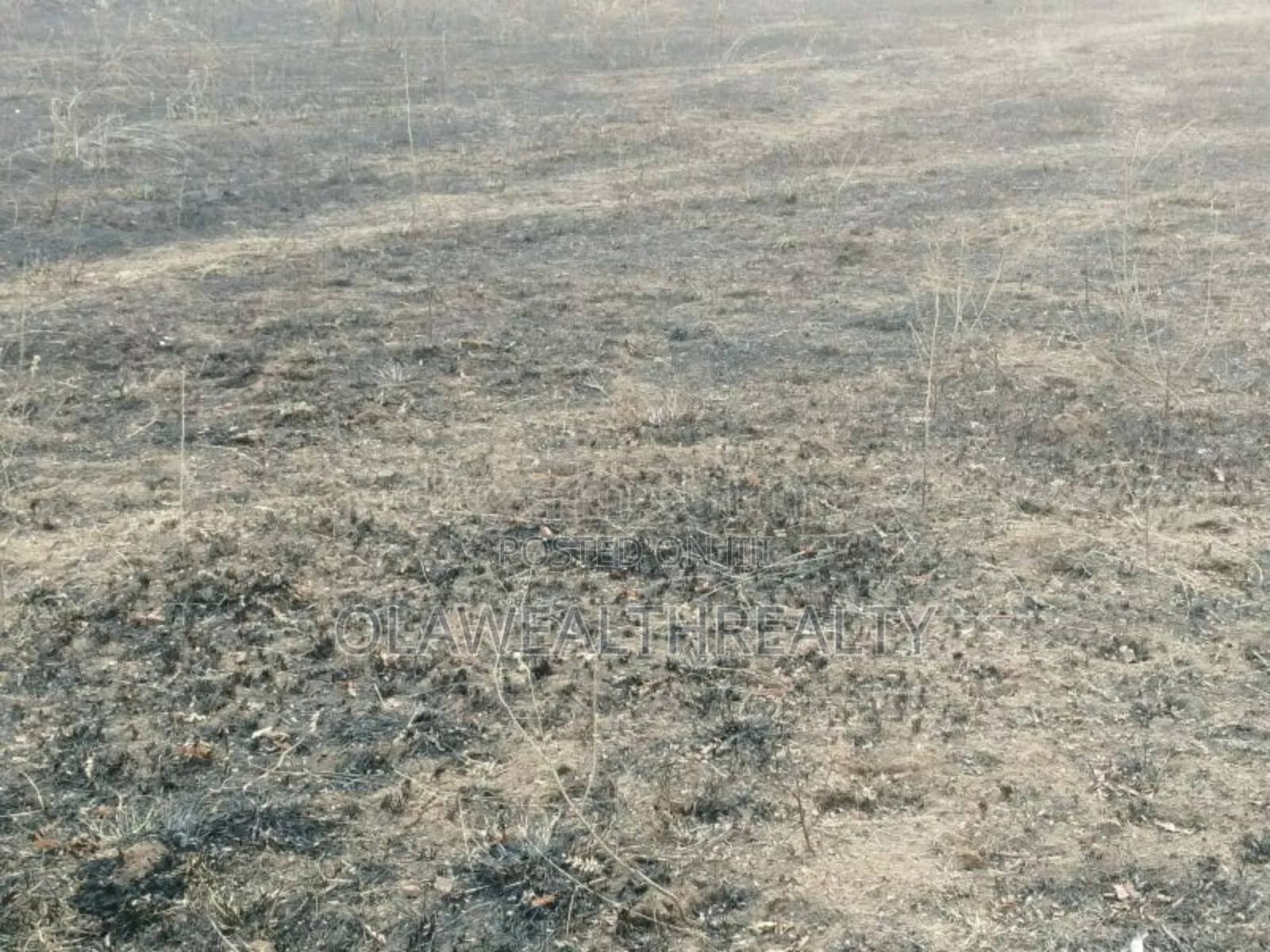 31.36hectares Distress Sale Farmland At Kwali in Kwali