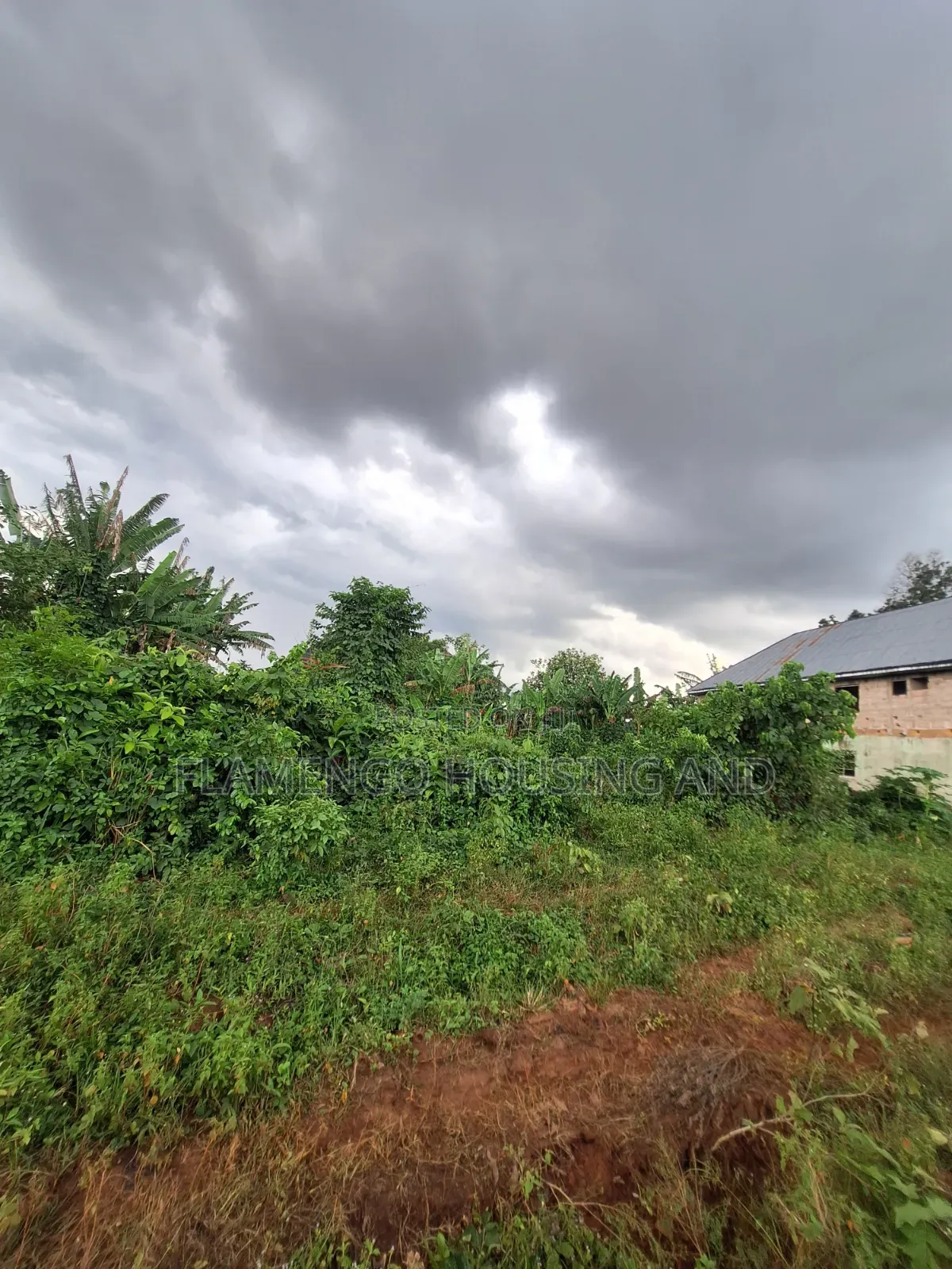 Close to Express 100ft by 100ft for Sale at Ovbiogie/Ora Boundary in Benin City