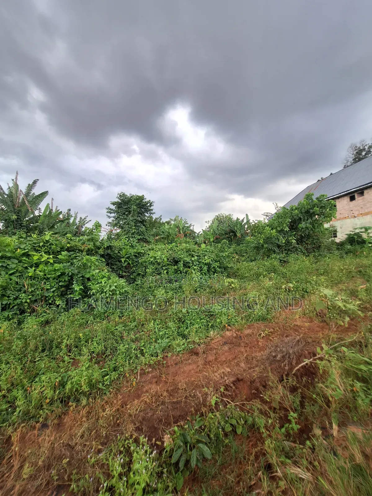 Close to Express 100ft by 100ft for Sale at Ovbiogie/Ora Boundary in Benin City
