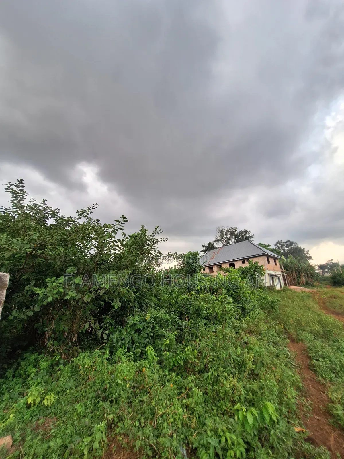 Close to Express 100ft by 100ft for Sale at Ovbiogie/Ora Boundary in Benin City