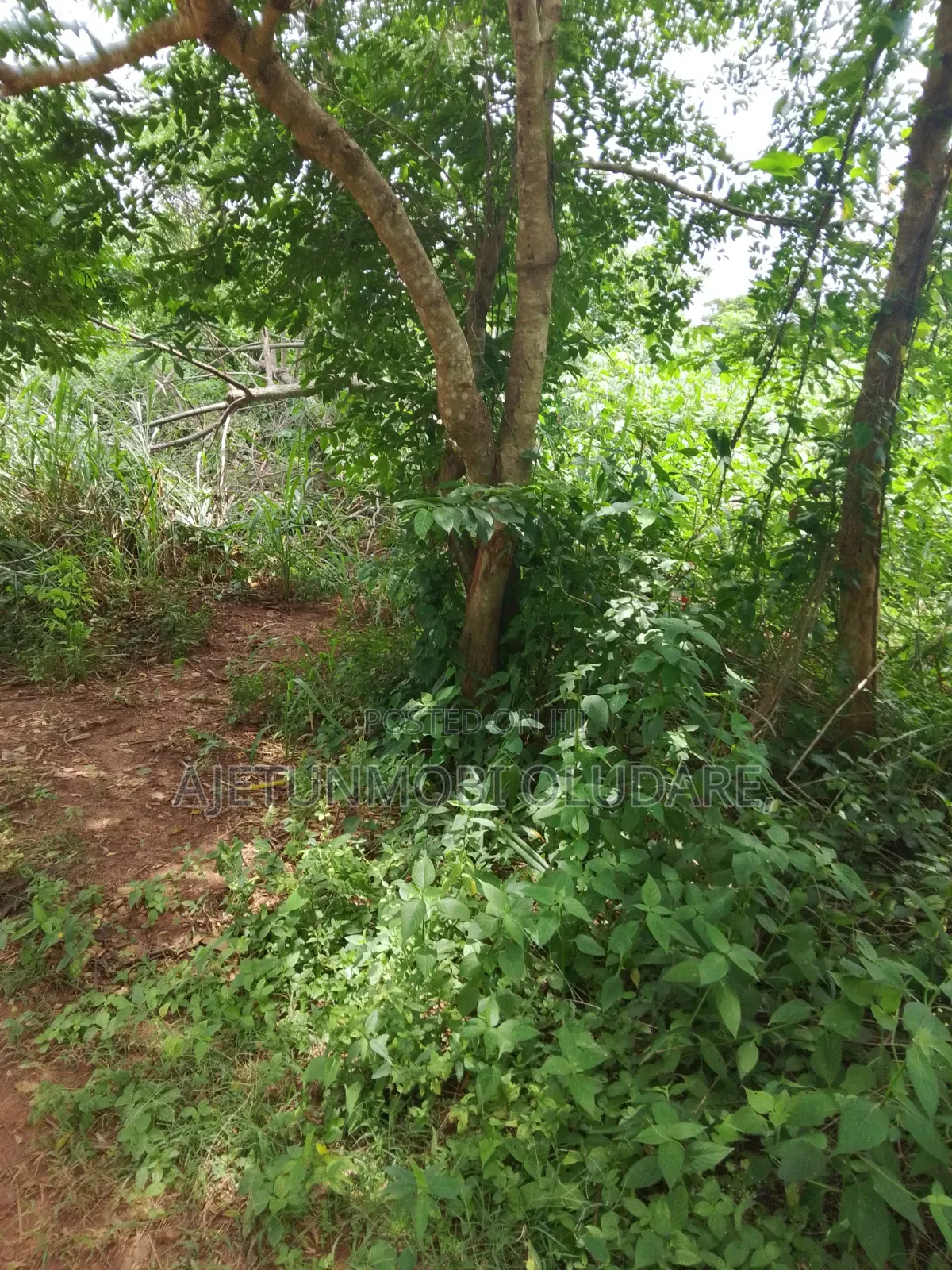 300 Farmland Plots for Sale in Ikere