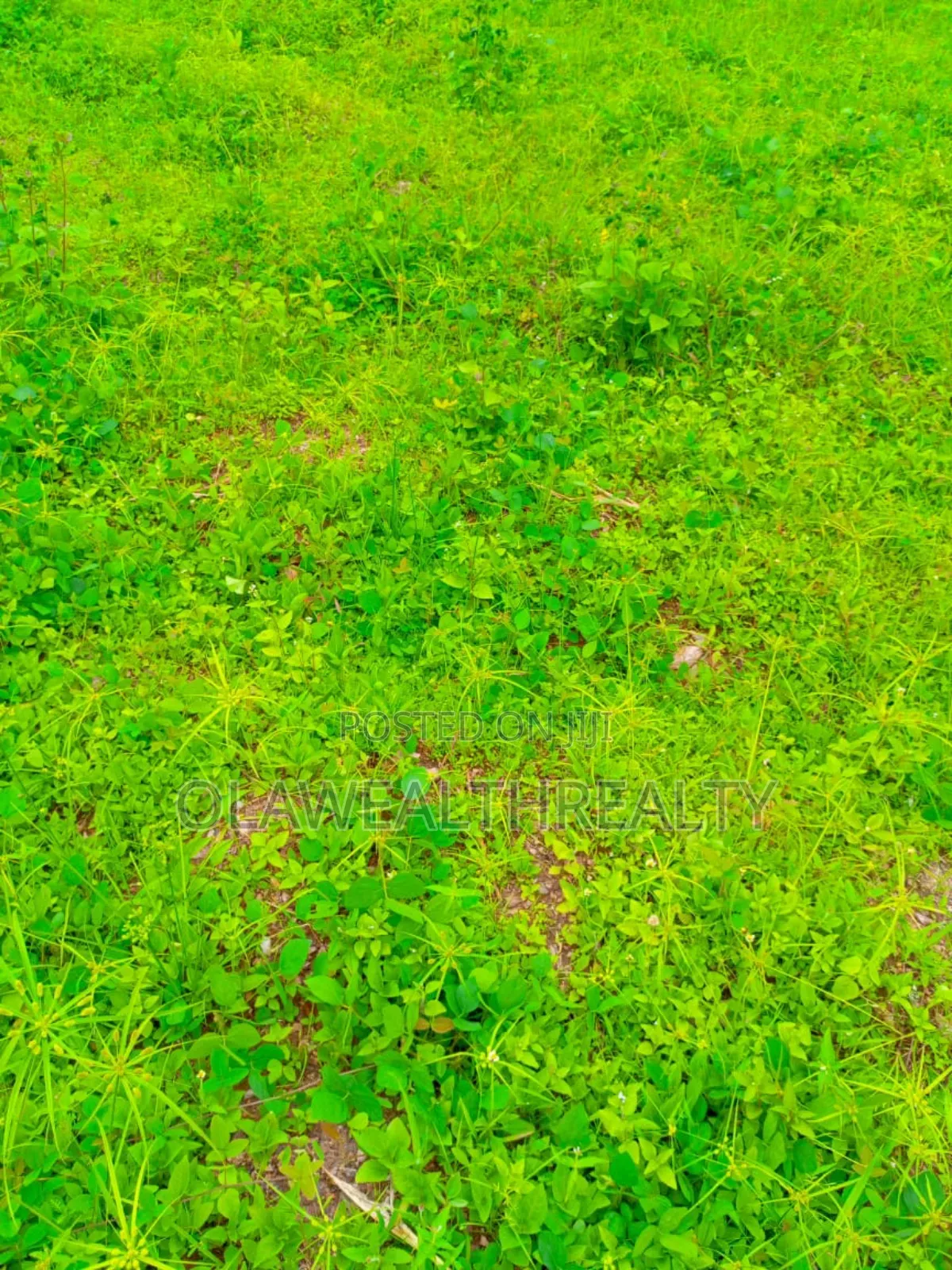 2,151sqm Residential Plot at Guzape Main in Guzape District