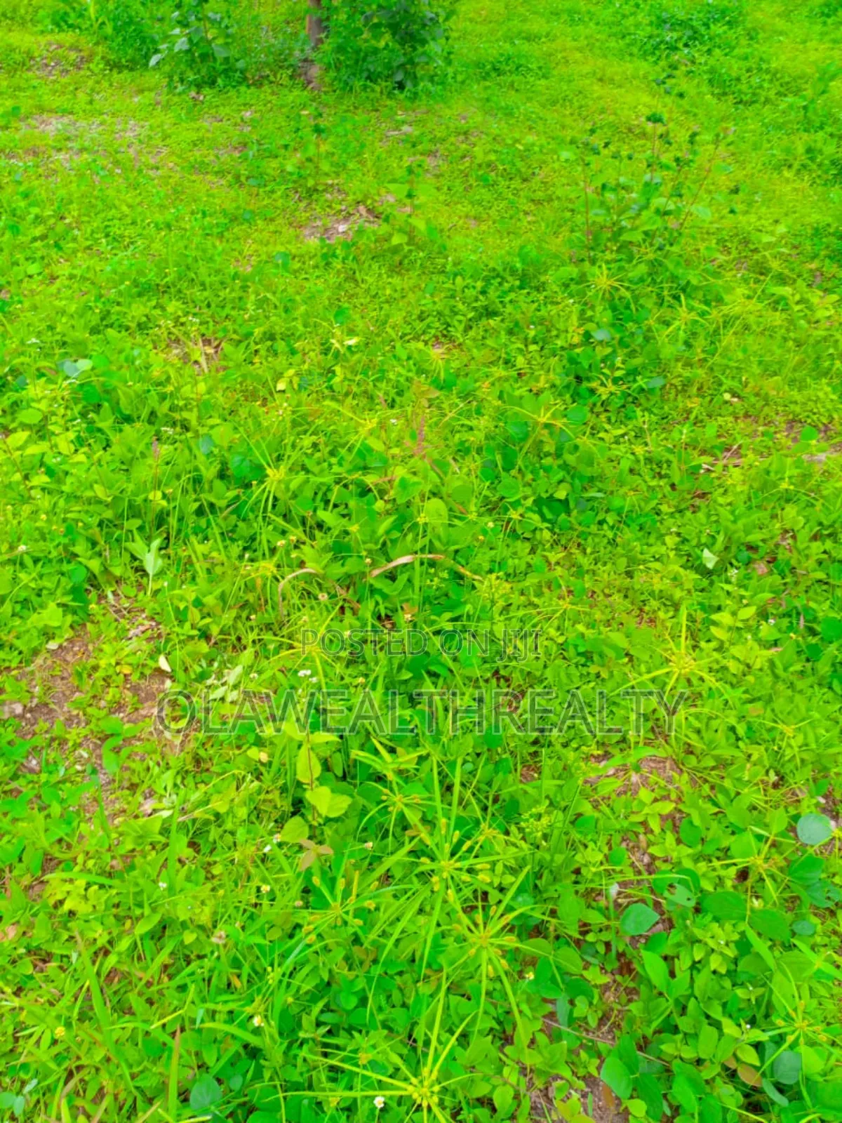 2,370sqm Residential Plot at Asokoro Main in Asokoro