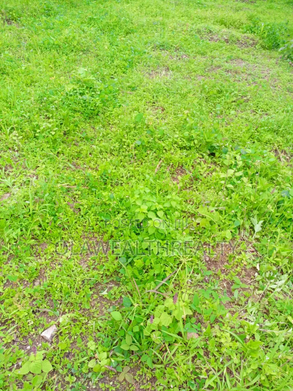 2,148sqm Residential Plot at Maitama 2 in Maitama