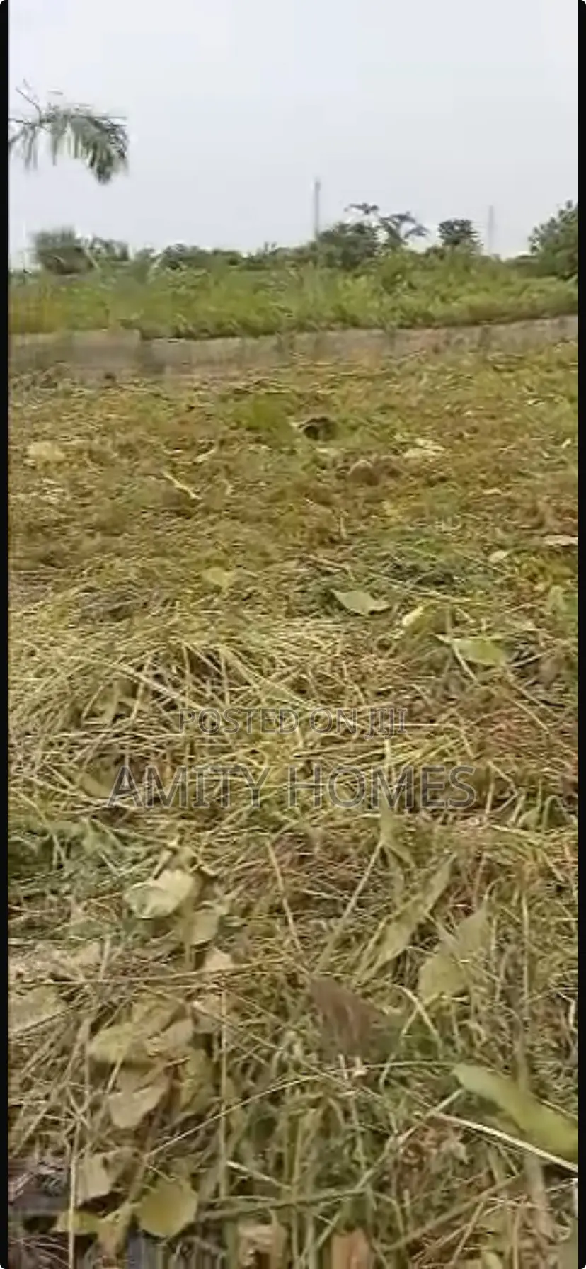 Full Plot of Land in Abijo