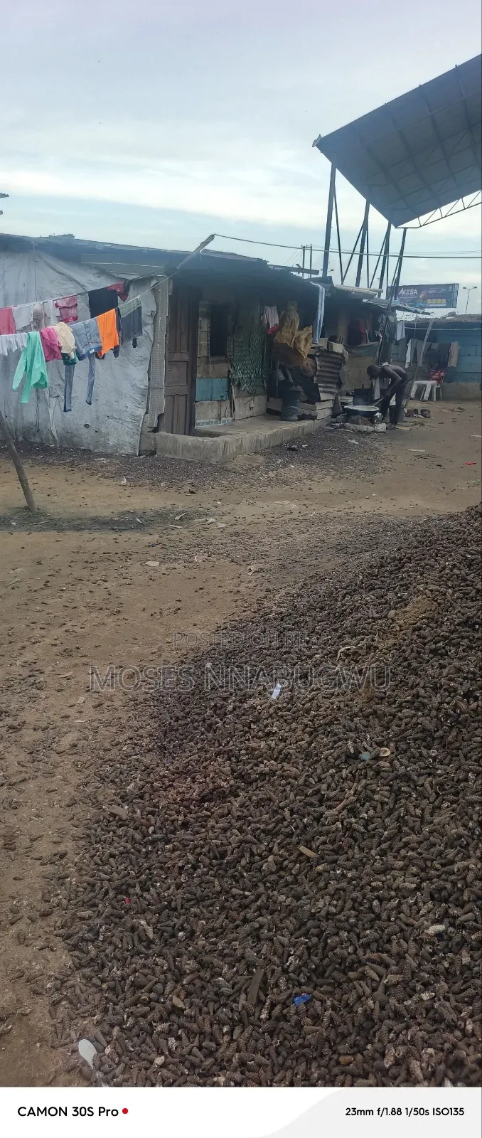One Plot of Land for Sale in Woji, Gbalajam Axis Close to the Road in Woji