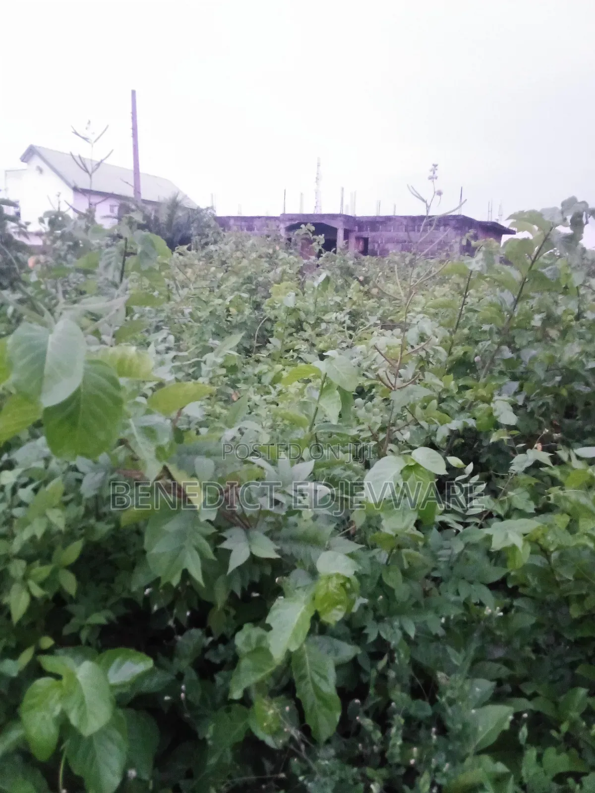 Gazette, Deed of Assignment, Register Survey Plan. in Awoyaya
