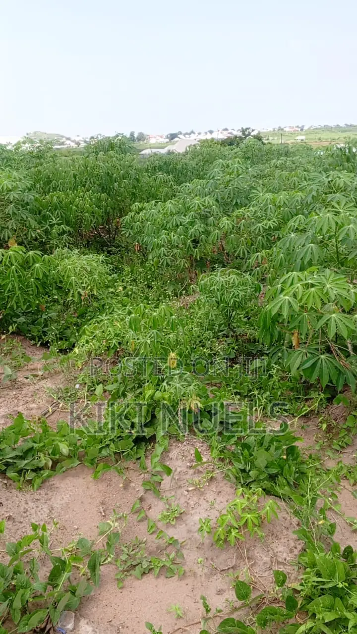 Fcda Approved Kyami Plots Selling Now in Kiami