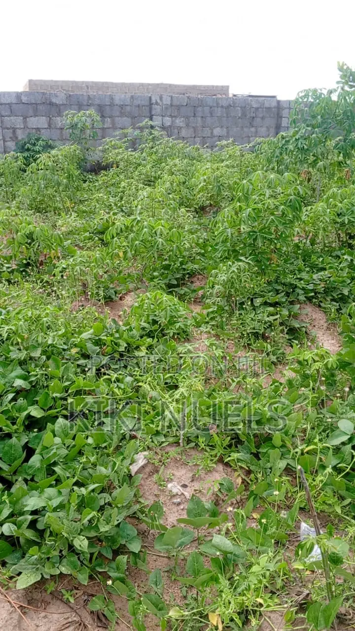 Fcda Approved Kyami Plots Selling Now in Kiami